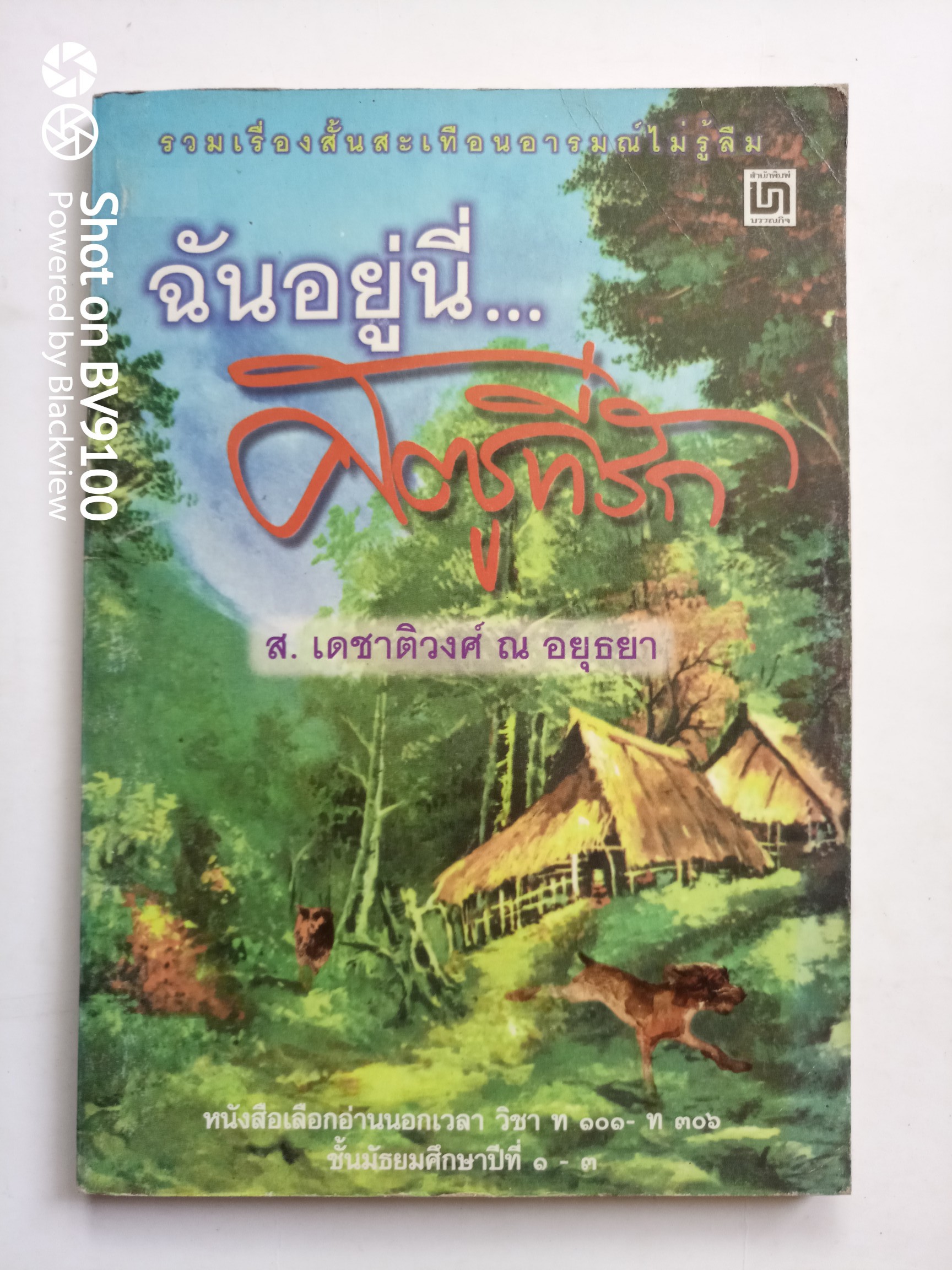 ฉันอยู่นี่.. ศัตรูที่รัก