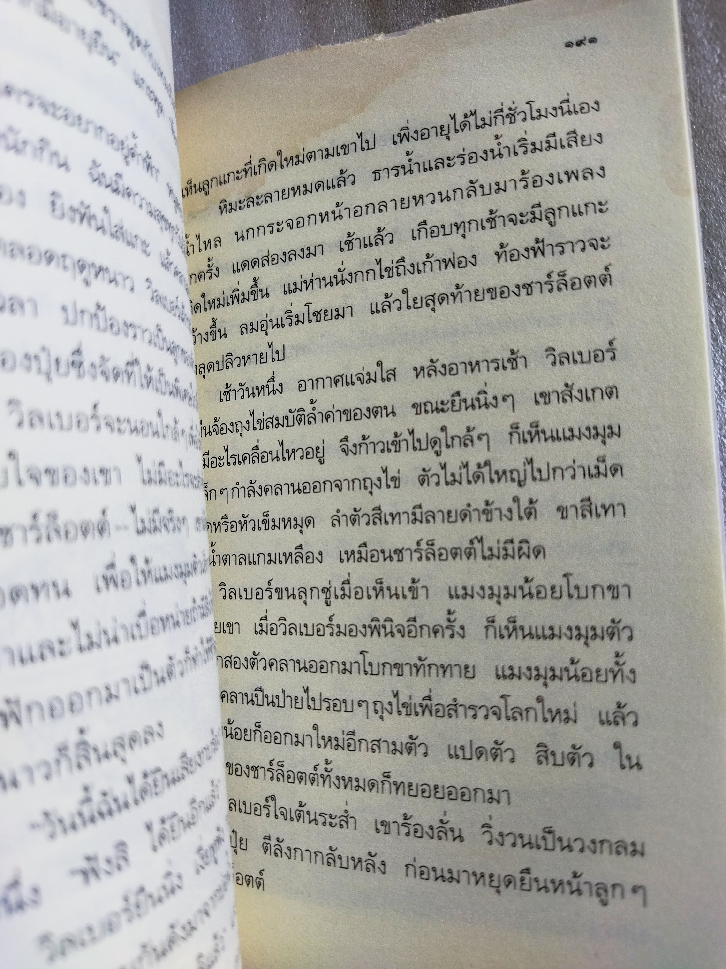 ชาร์ล็อตต์ แมงมุมเพื่อนรัก (Charlotte's Web) / อี.บี. ไวท์