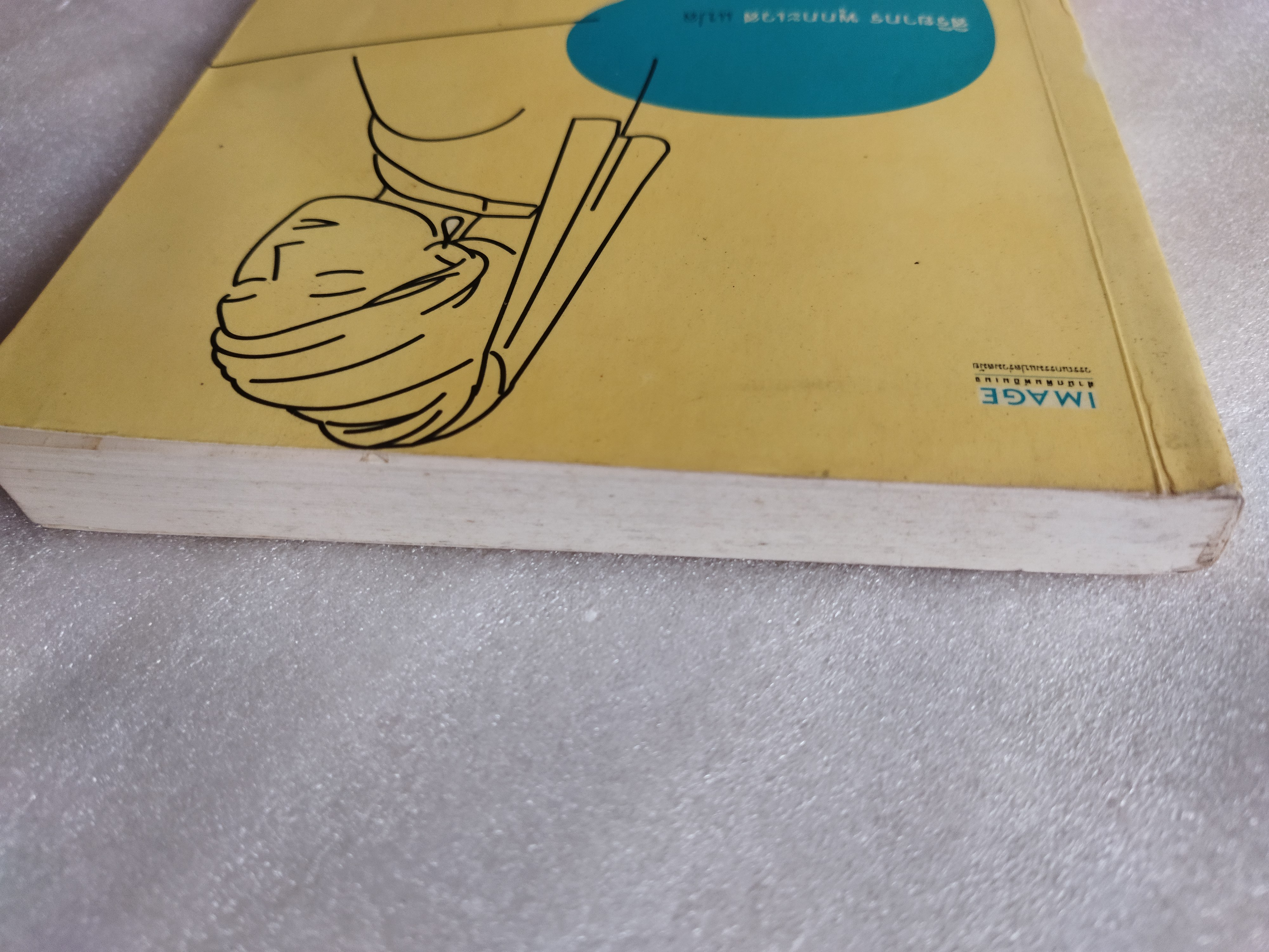 หญิงสาวกับต่างหูมุก Girl with a Pearl Earring / Tracy Chevalier