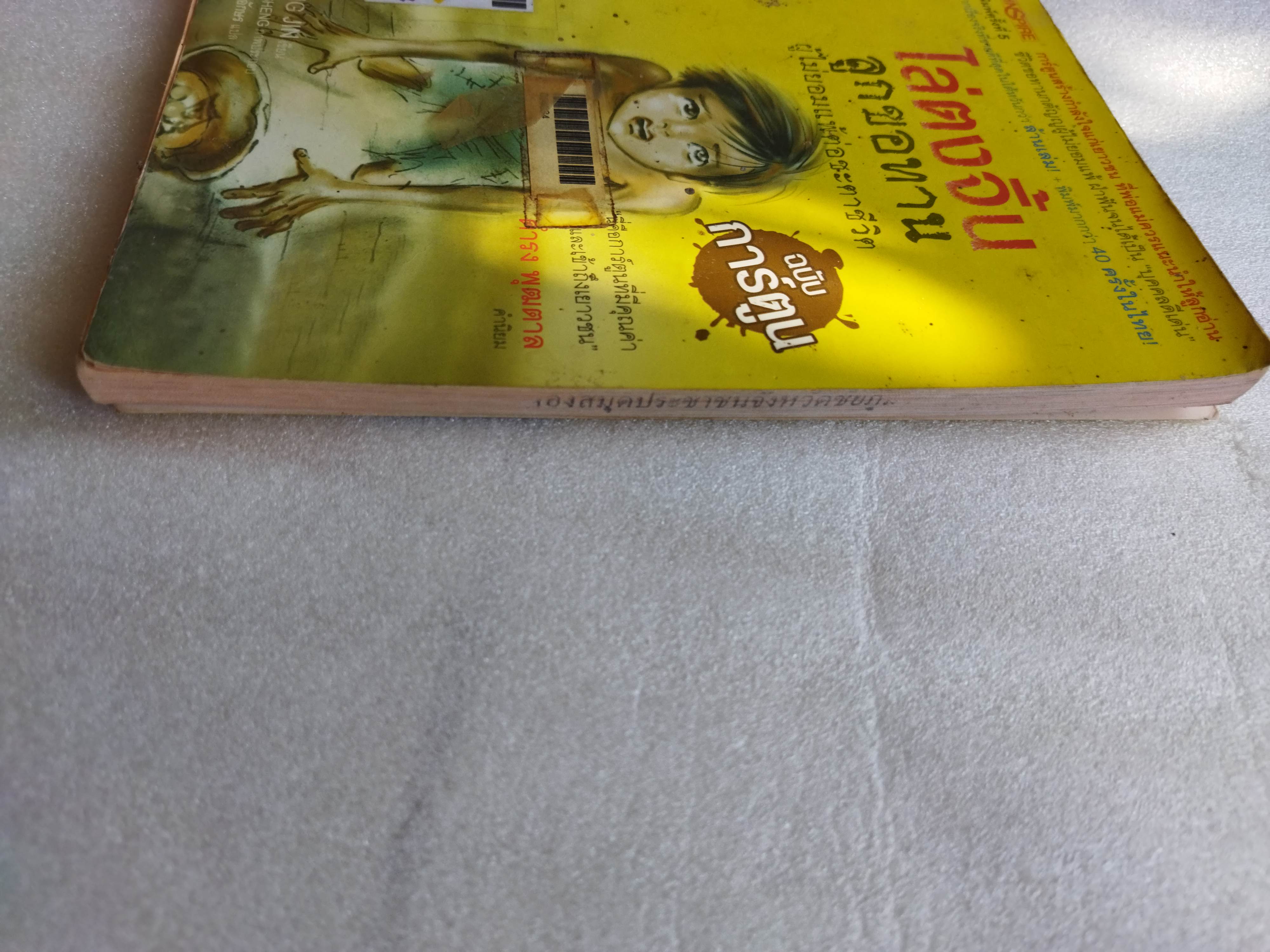 ไล่ตงจิ้น ลูกขอทานผู้ไม่ยอมแพ้ต่อชะตาชีวิต(ฉบับการ์ตูน) / Lai Dong Jin