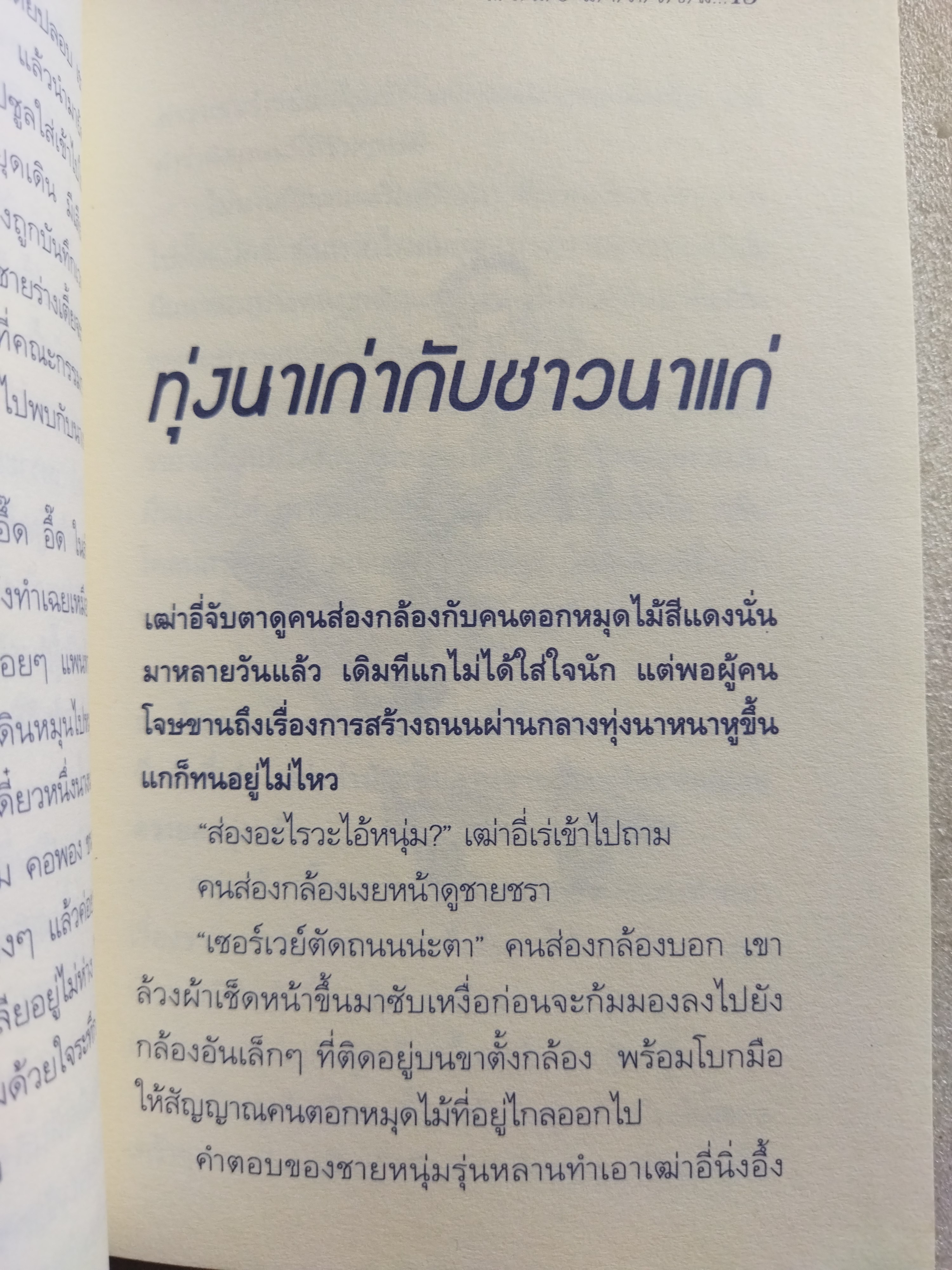 หมอใบไม้ / ถวัลย์ มาศจรัล