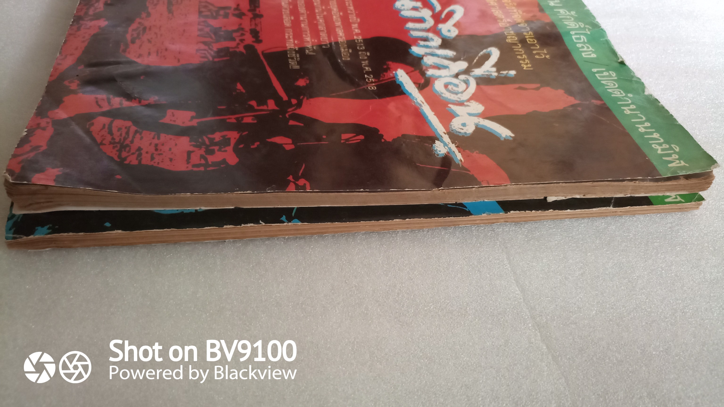 บันทึกเถื่อน / สุริยัน ศักดิ์ไธสง