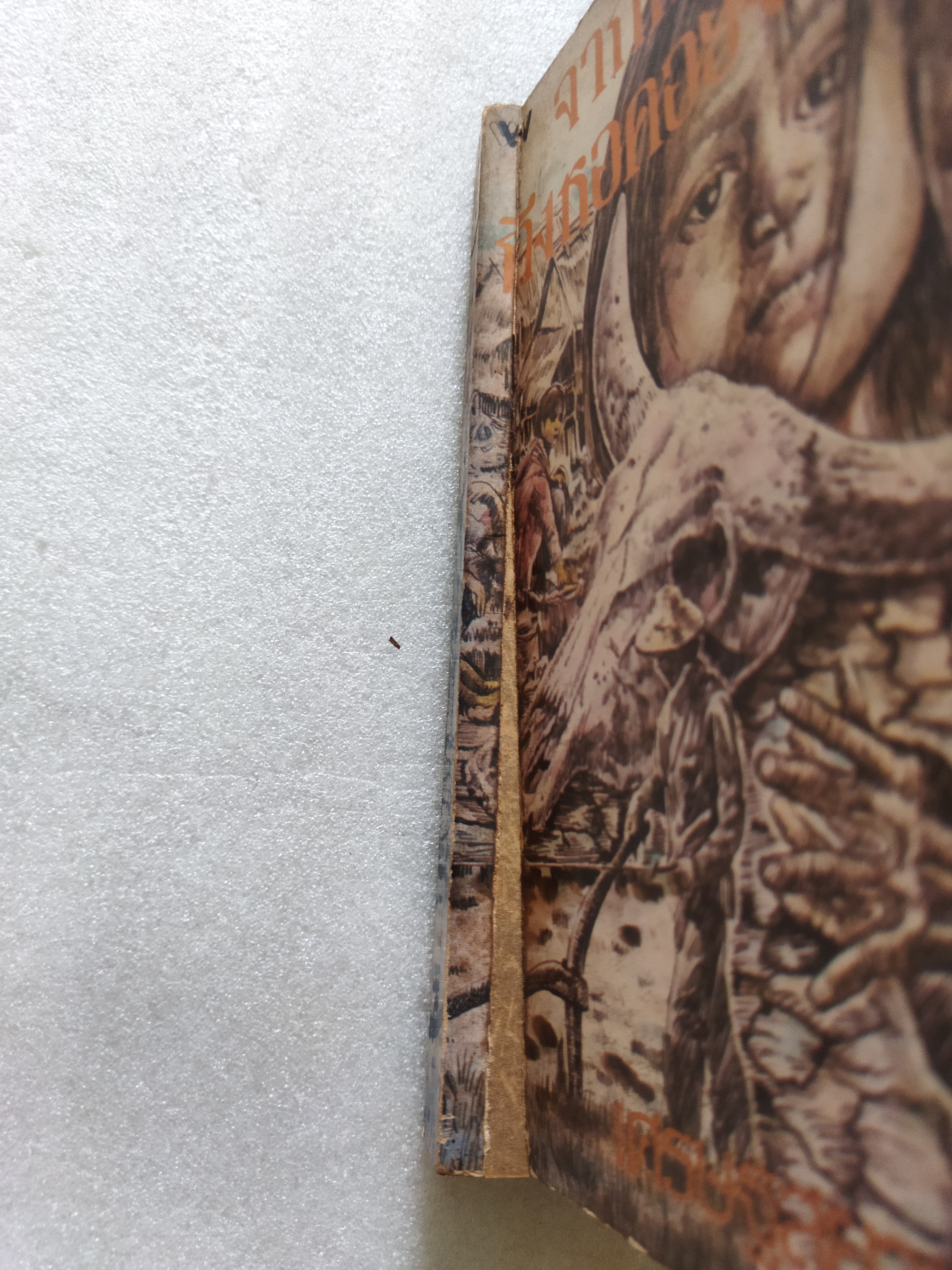 จากท้องนาถึงหอคอยงาช้าง