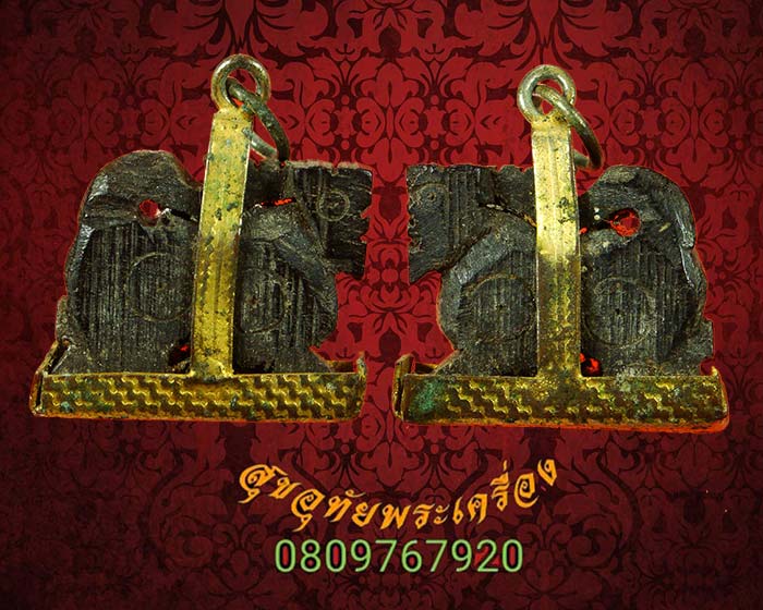 สิงห์ไม้พญางิ้วดำ แห้งเก่า กระเช้าเดิมครับ