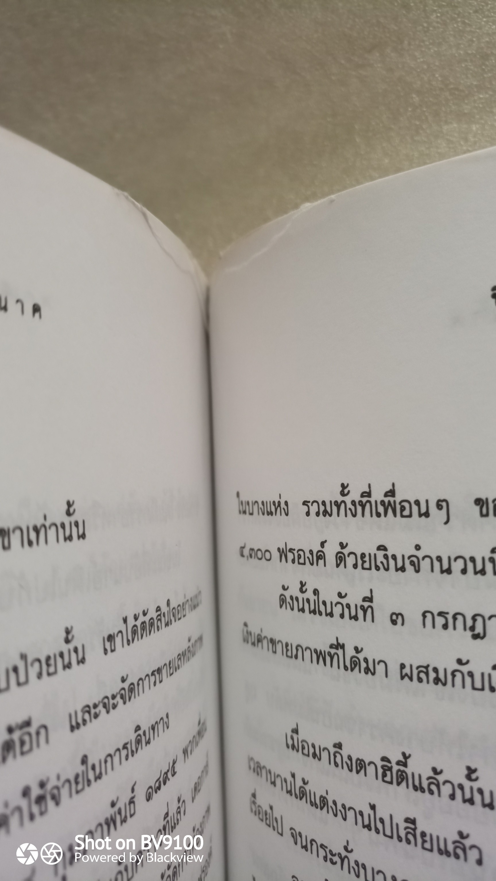 ชีวิตศิลปิน