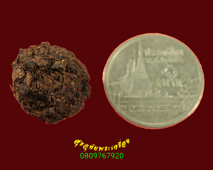 104.ชานหมาก+รูปถ่ายหลวงปู่ทิม วัดพระขาว 1 ชุด น่าบูชาครับ