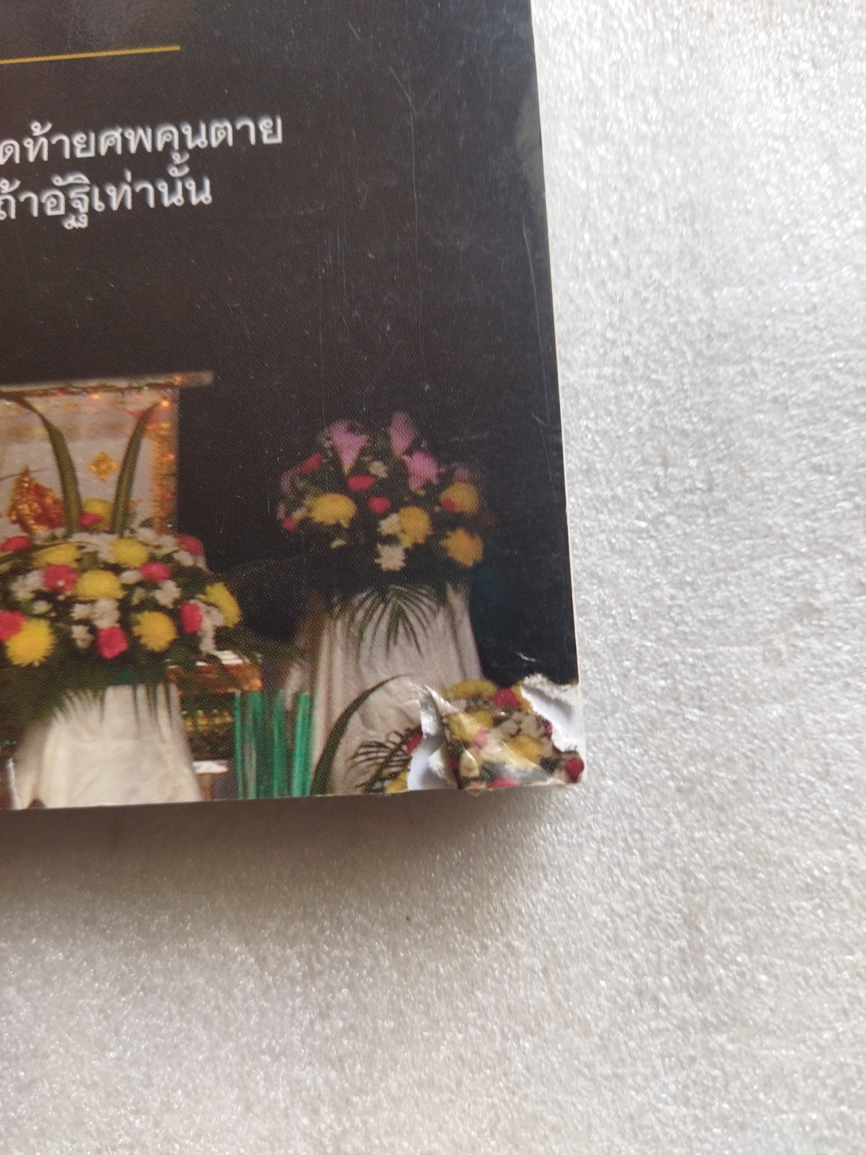 คนตายเผาคนเป็น