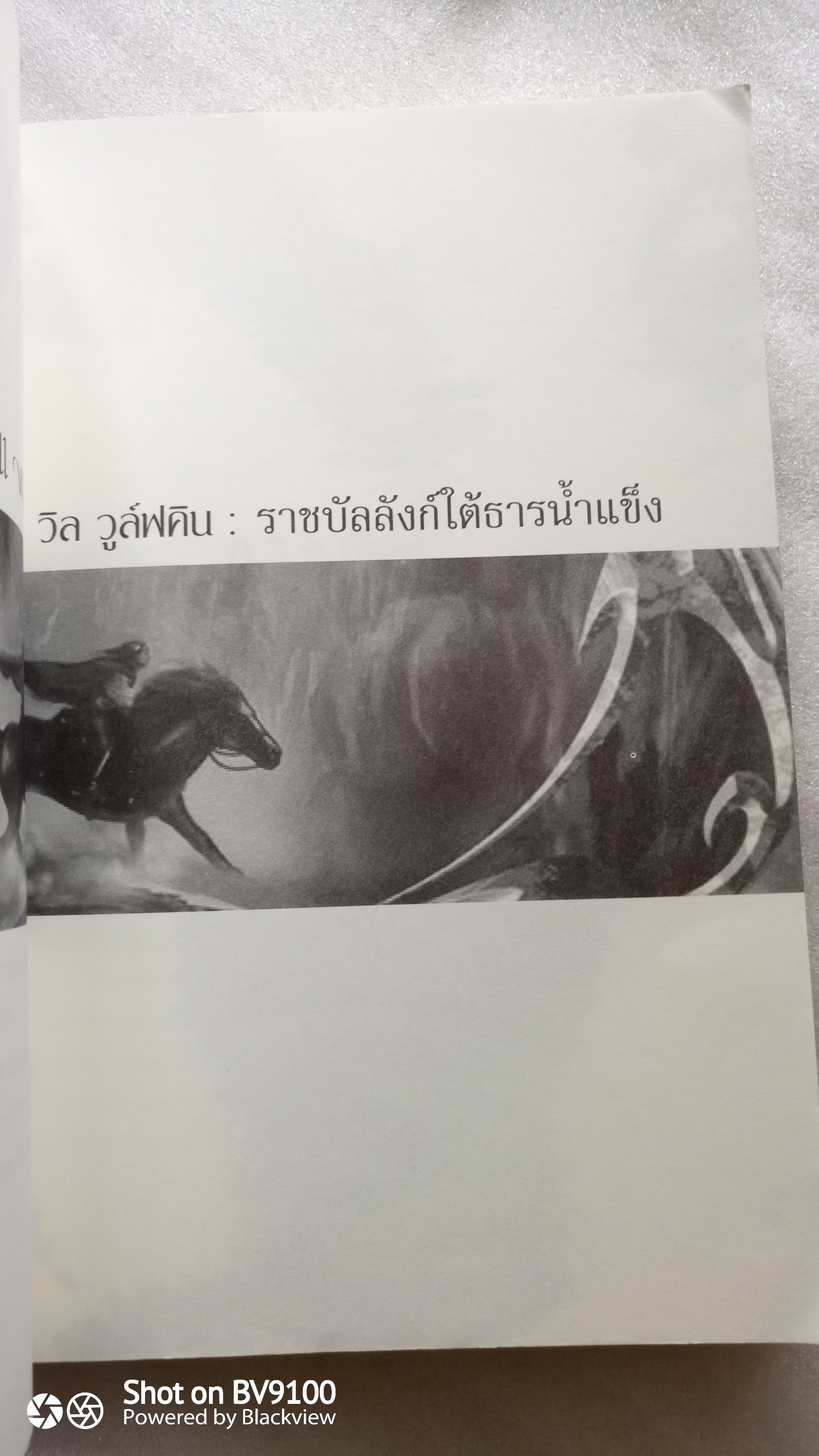 วิล วูล์ฟกิน ราชบัลลังก์ใต้ธารน้ำแข็ง / สตีเว่น ไนท์