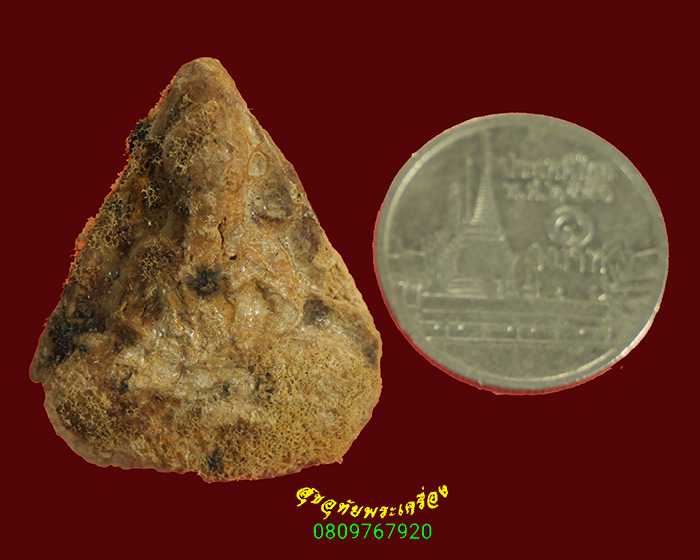 956.พระโพธิจักรพิมพ์ห้าเหลี่ยม เนื้อผงเกสร พ่อท่านลี วัดอโศการาม ปี2500 สภาพใช้ เข้มขลังครับ