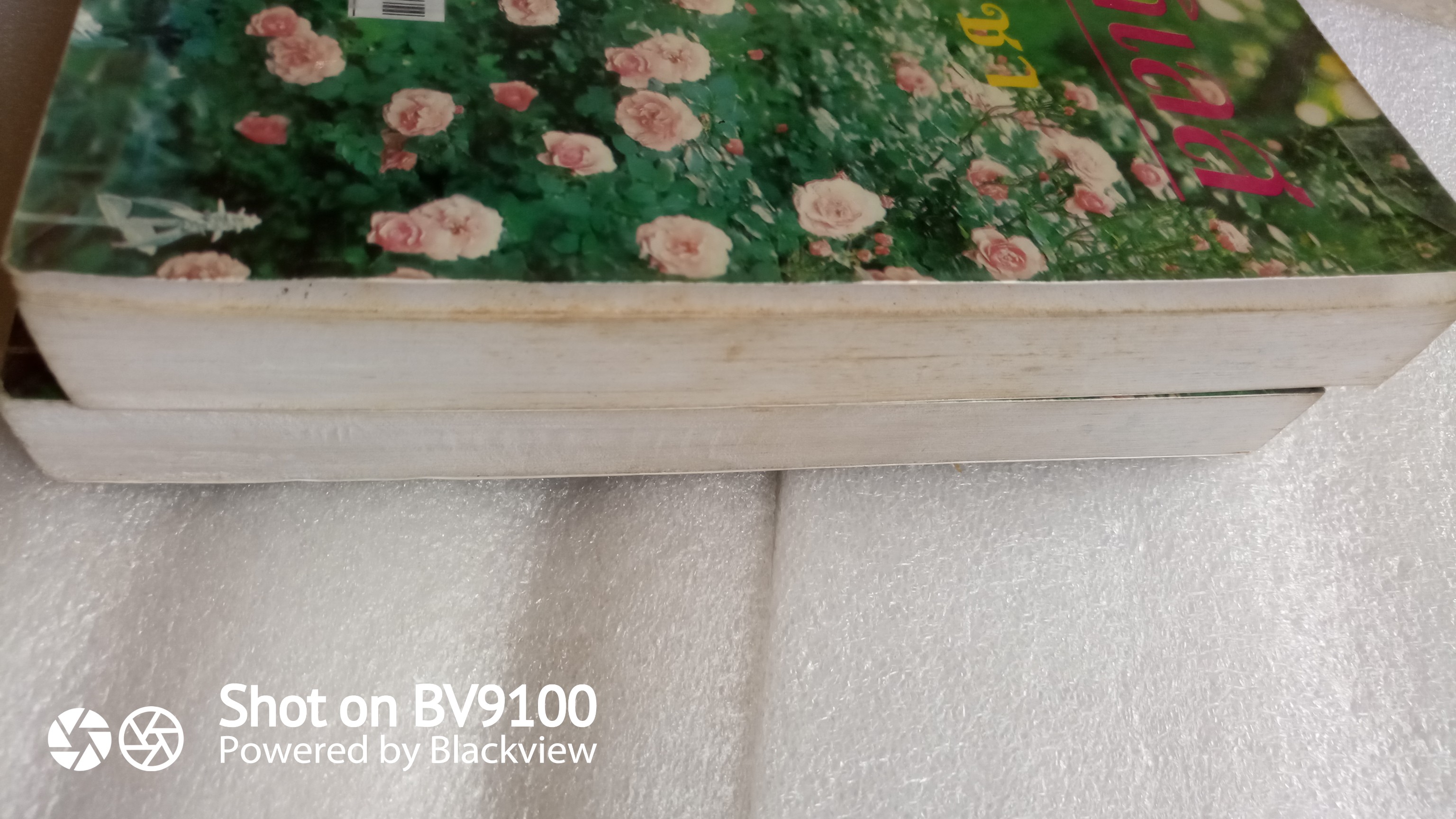 คมกิเลส / พัดชา