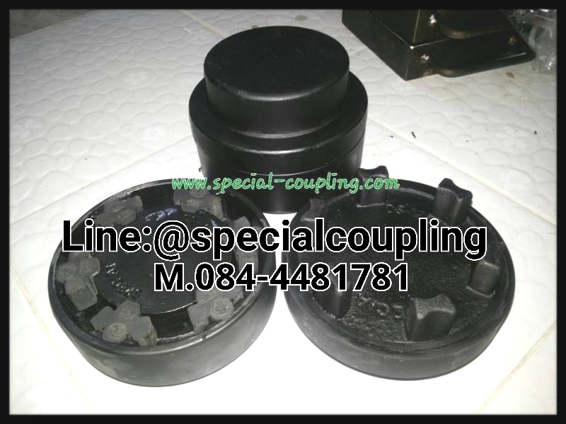 Neupex size.DS 135 NBR Element Complete set