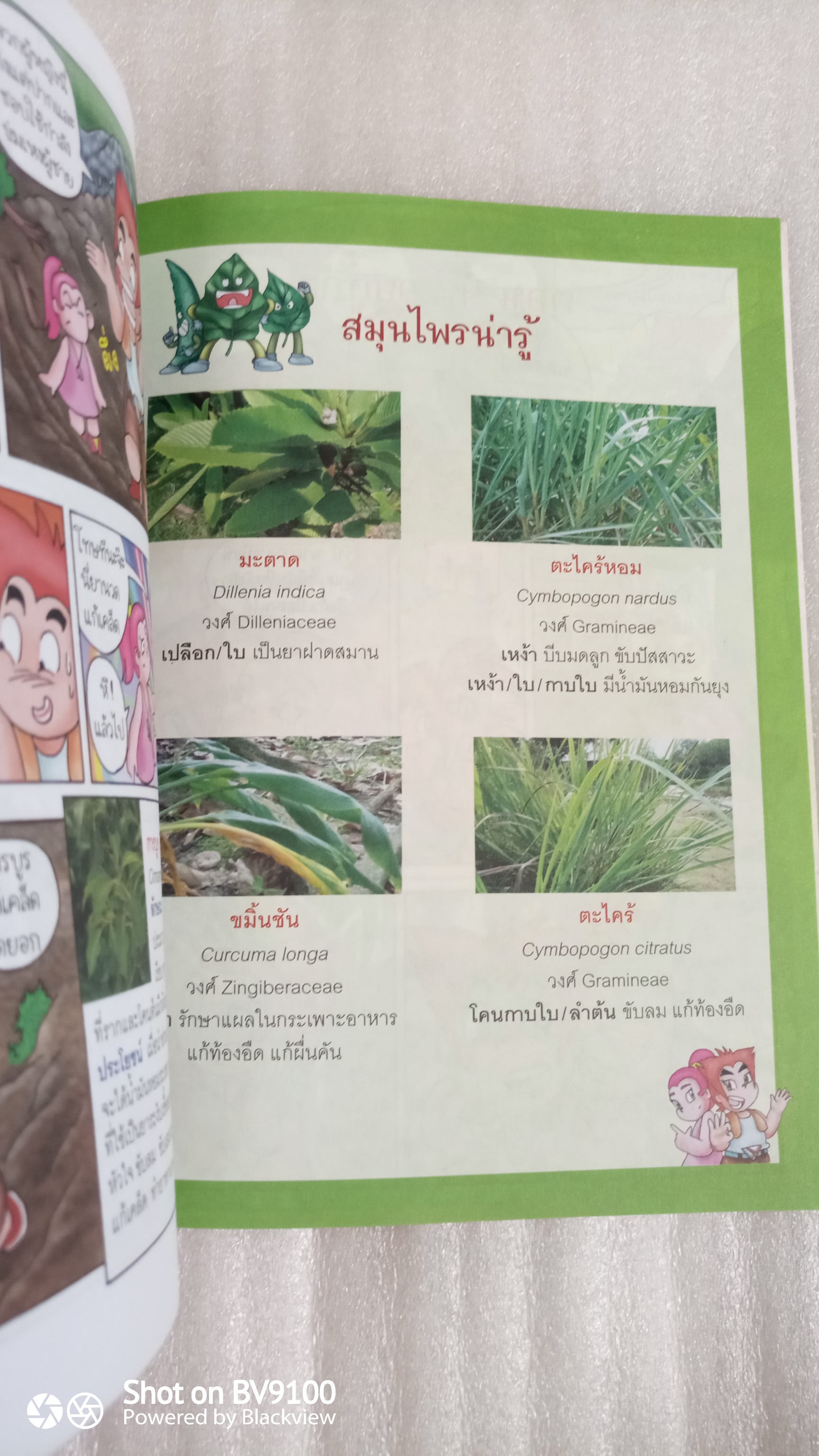 ผจญภัยในป่าลึก ตะลุยป่าสมุนไพร