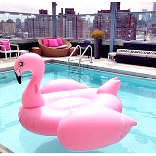 แพยาง Flamingo Big Size Free แพยางเป่าลม