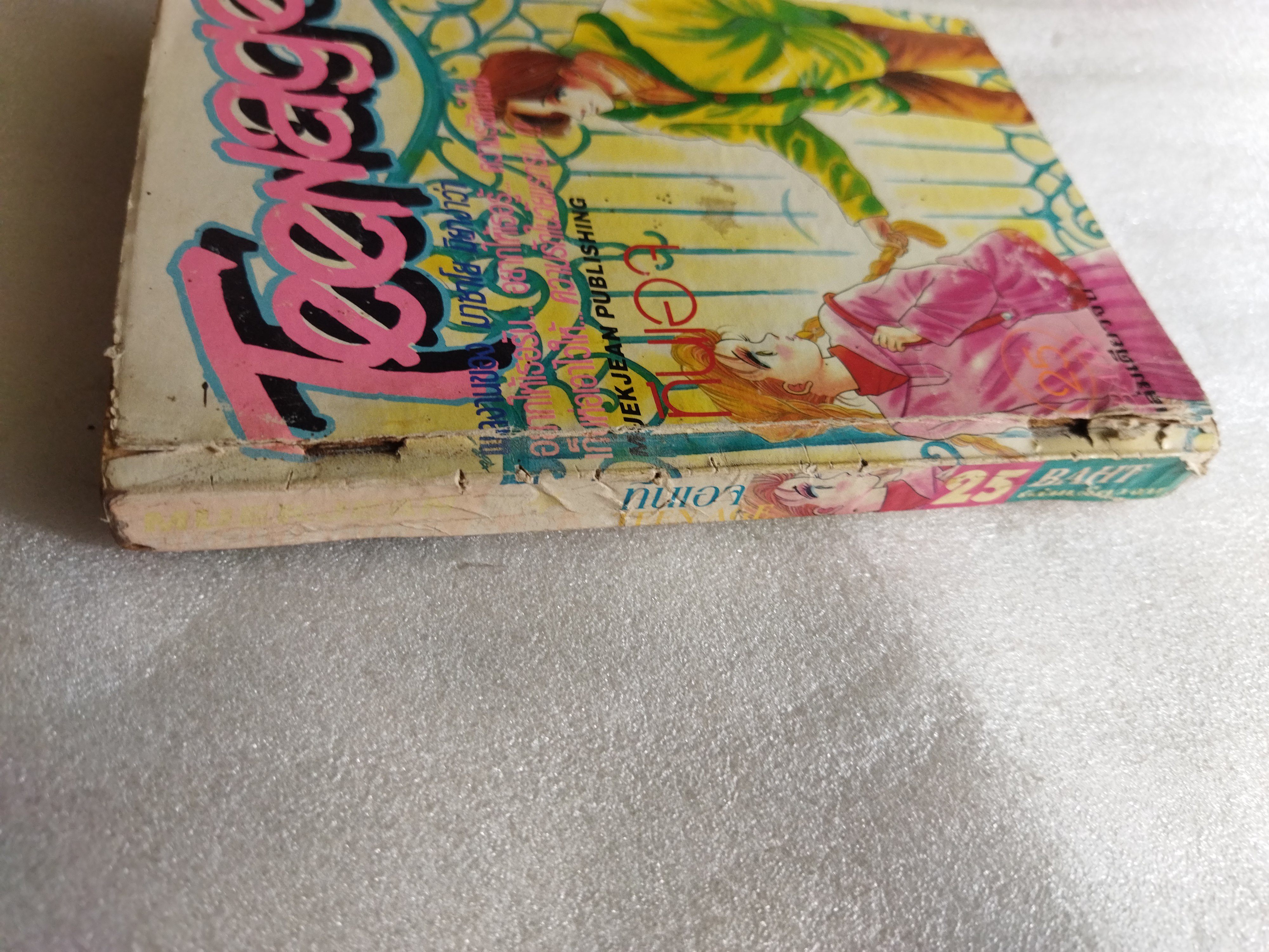 Teenage ทีนเอจ / เล่มเดียวจบ