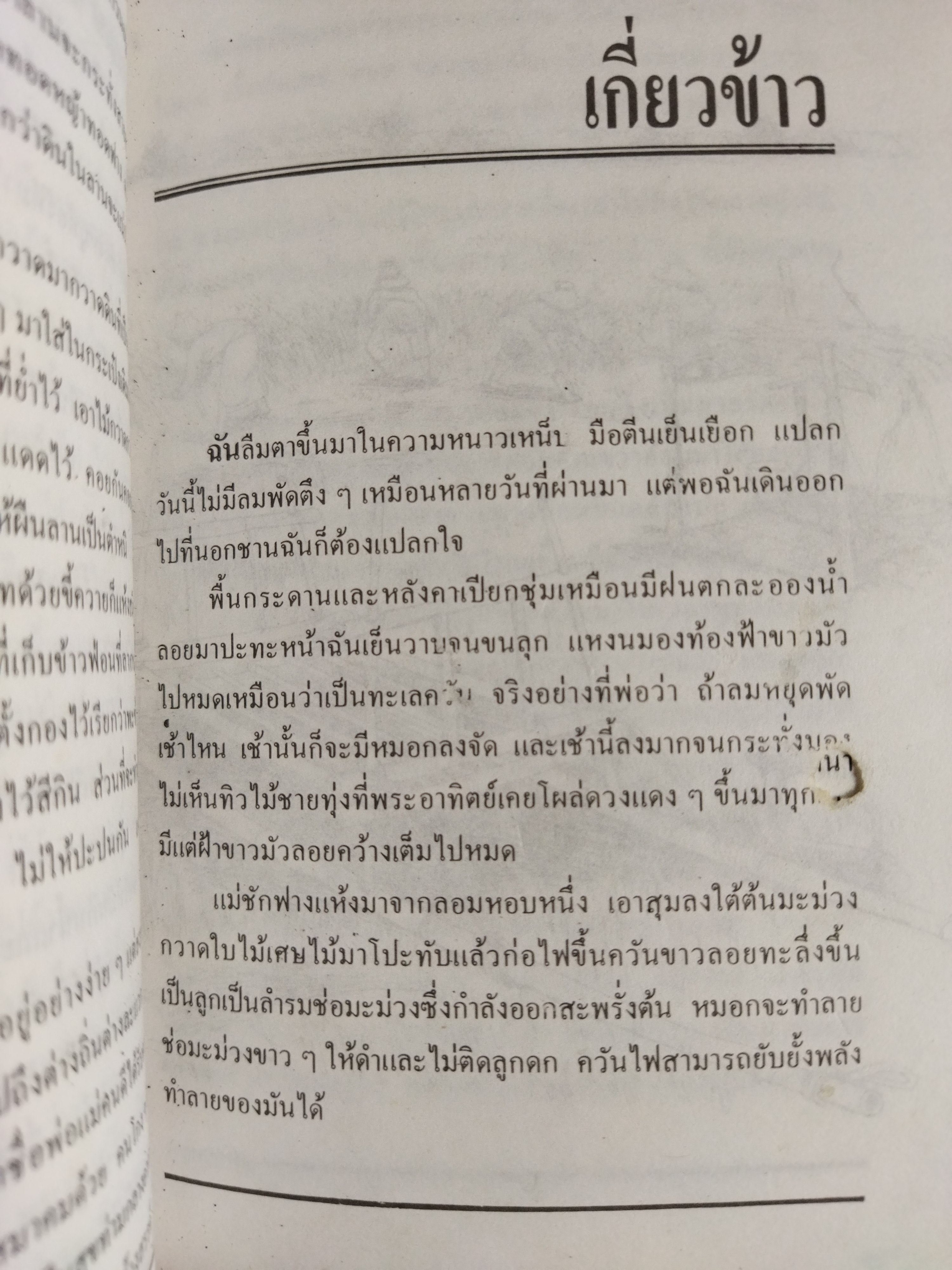 ลูกชาวนา / ละเอียด นวลปลั่ง