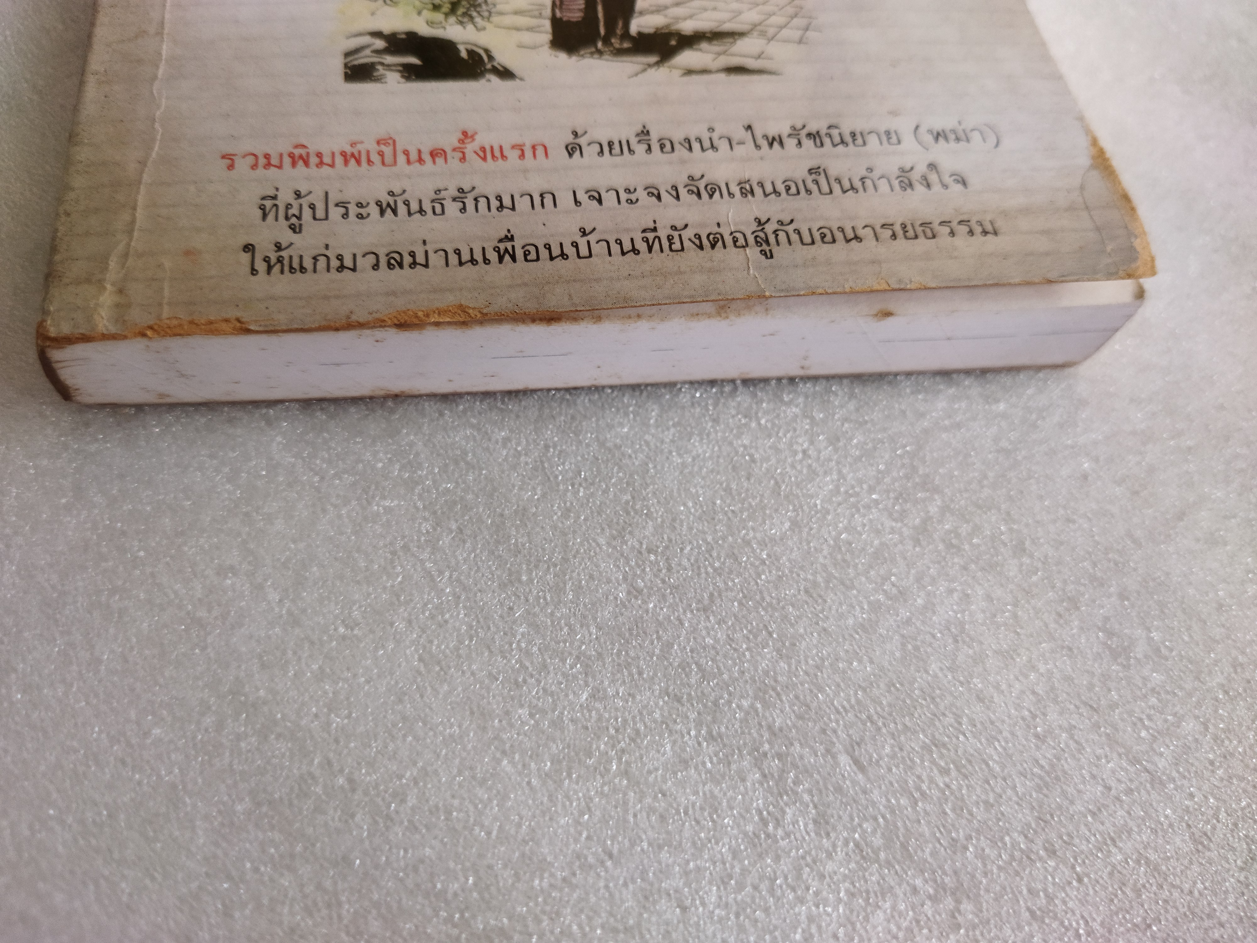 แทบฝั่งอิรวดี / อ.ไชยวรศิลป์