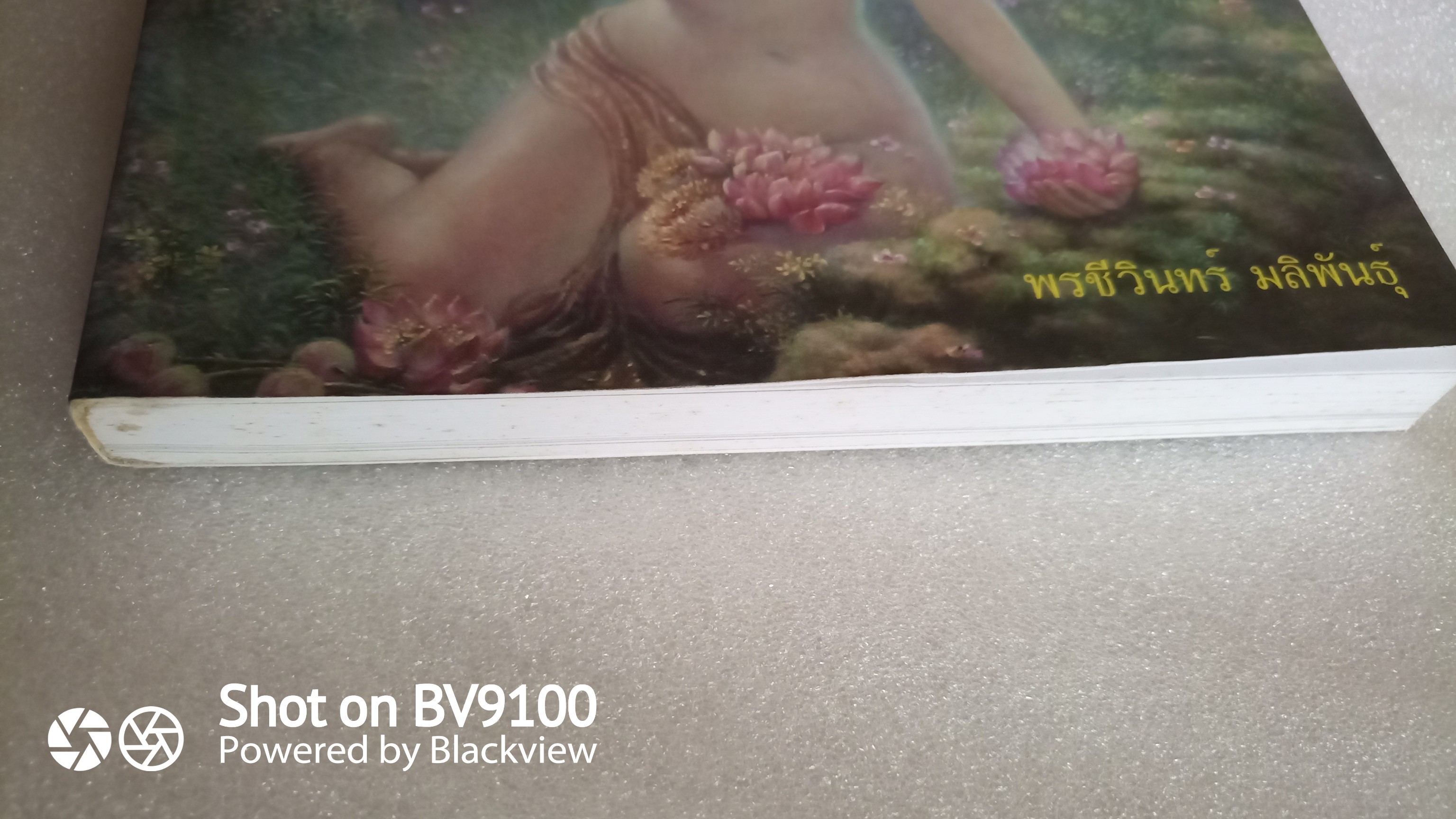 กินรี : สุนทรียภาพในงานศิลปะและวรรณกรรม / พรชีวินทร์ มลิพันธุ์