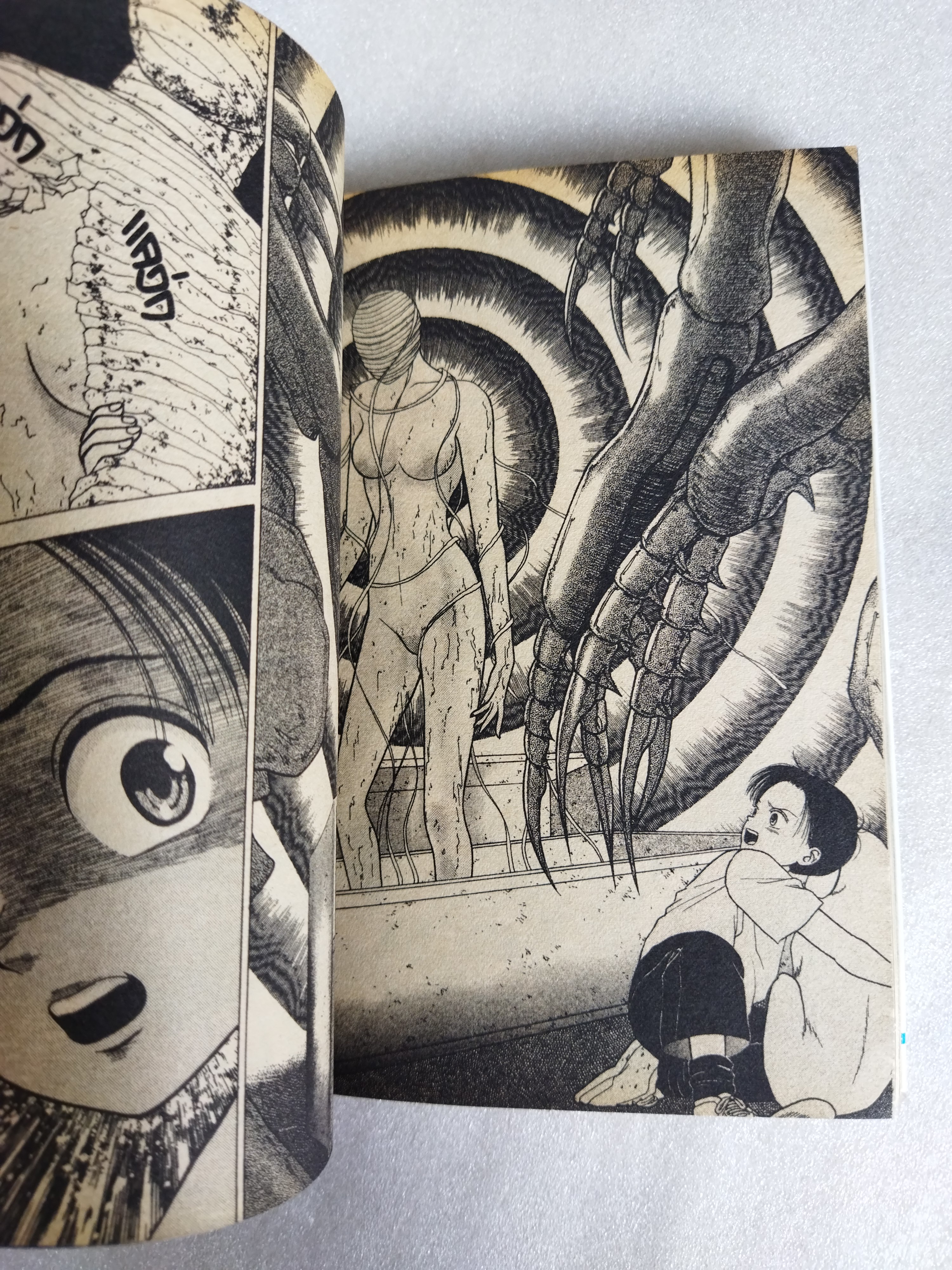 อีนิกม่า 2 เล่มจบ