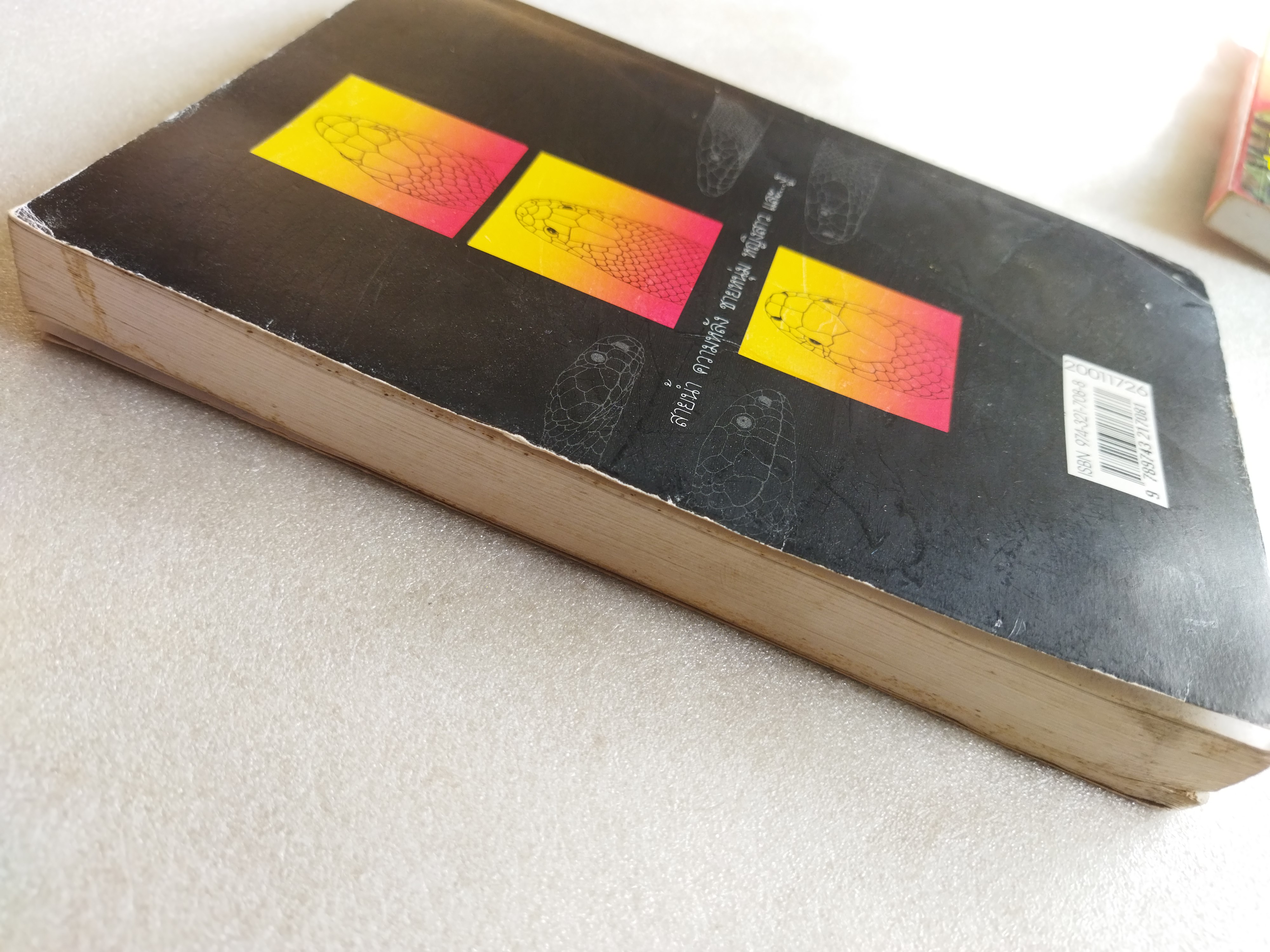 แม่เบี้ย /วาณิช จรุงกิจอนันต์