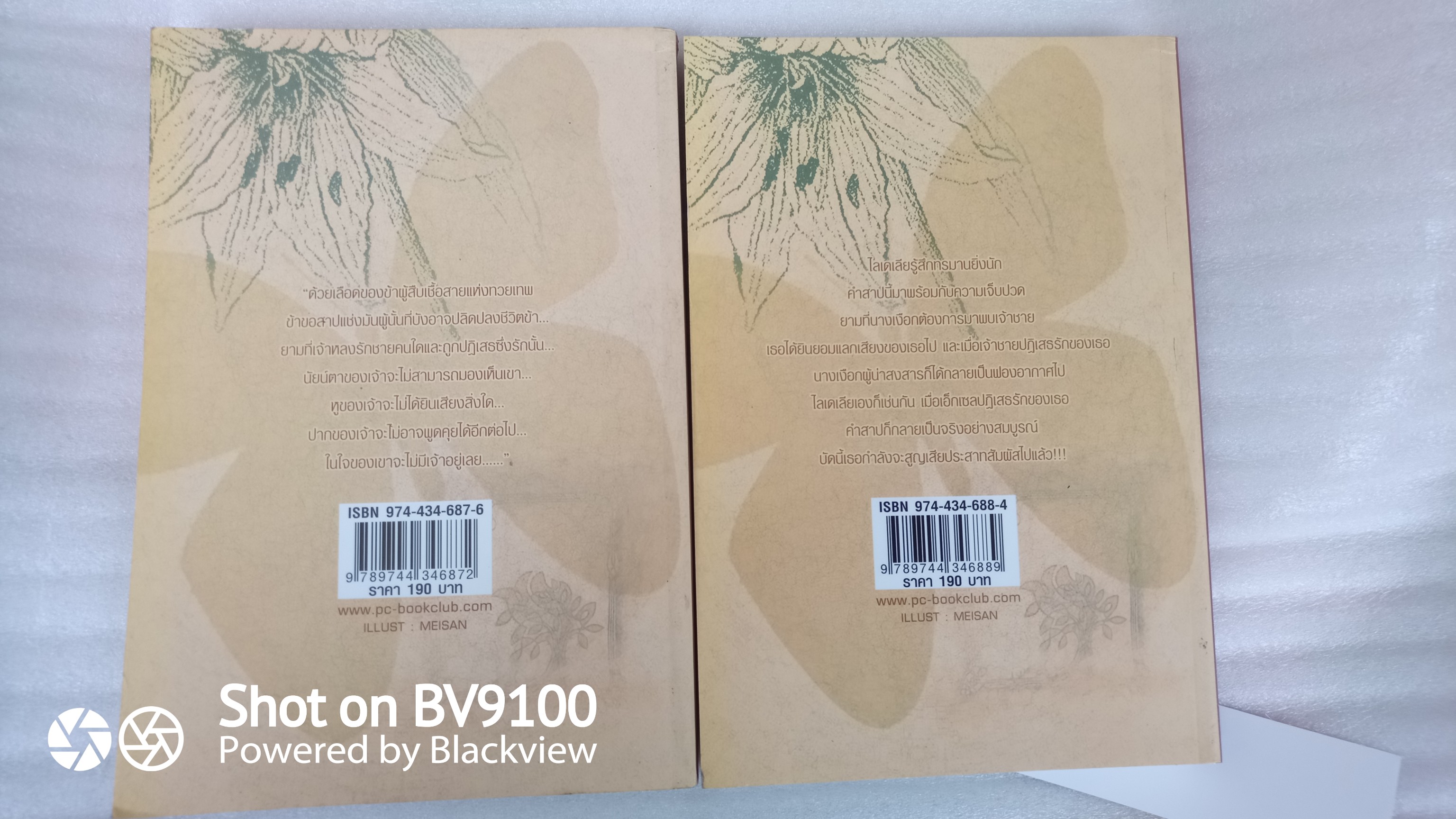 หนังสือ ลิขิตรักต้องคำสาป 2 เล่มจบสมบูรณ์