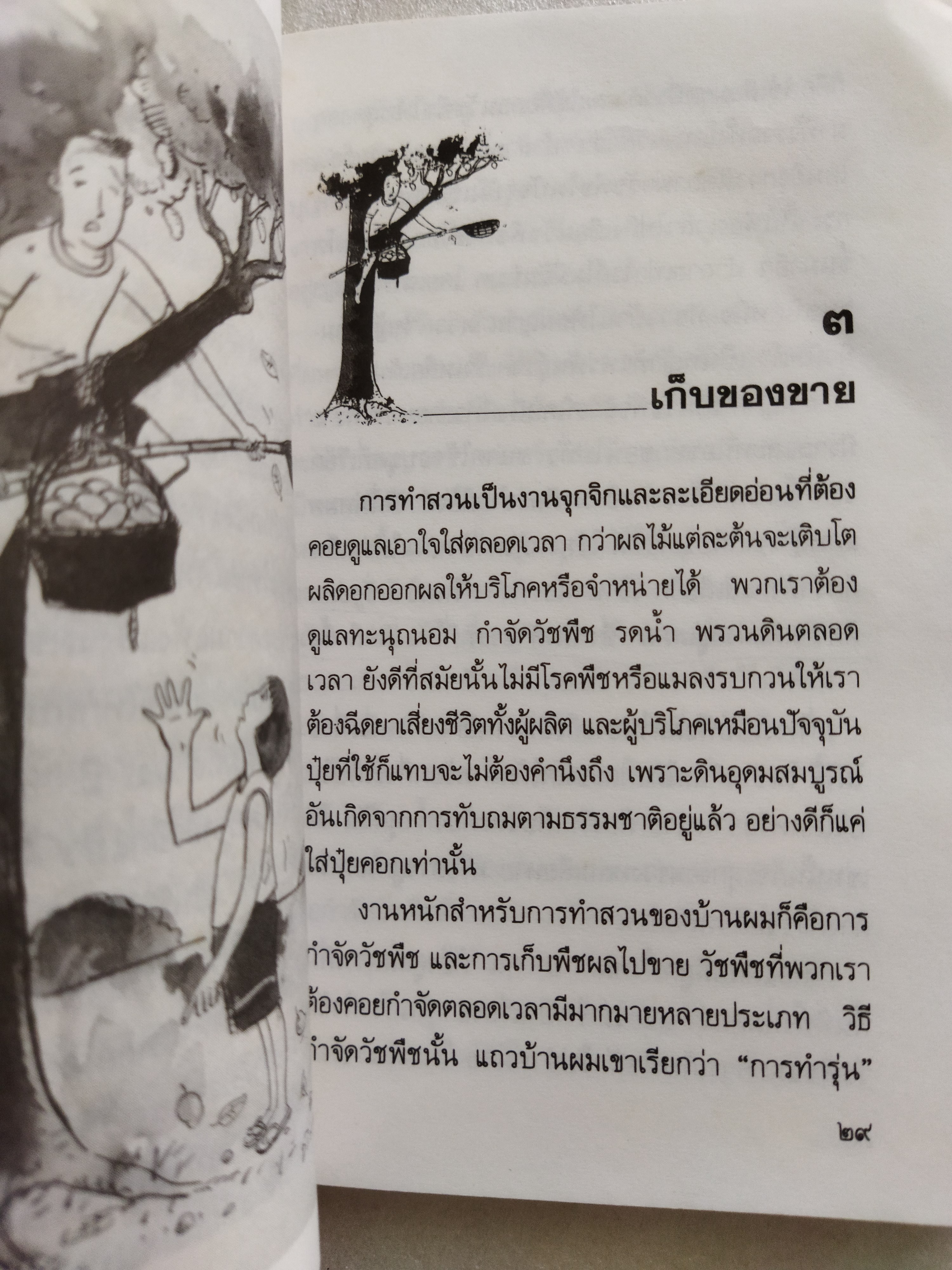 เด็กชายปลายสวน / ธเนศ ขำเกิด