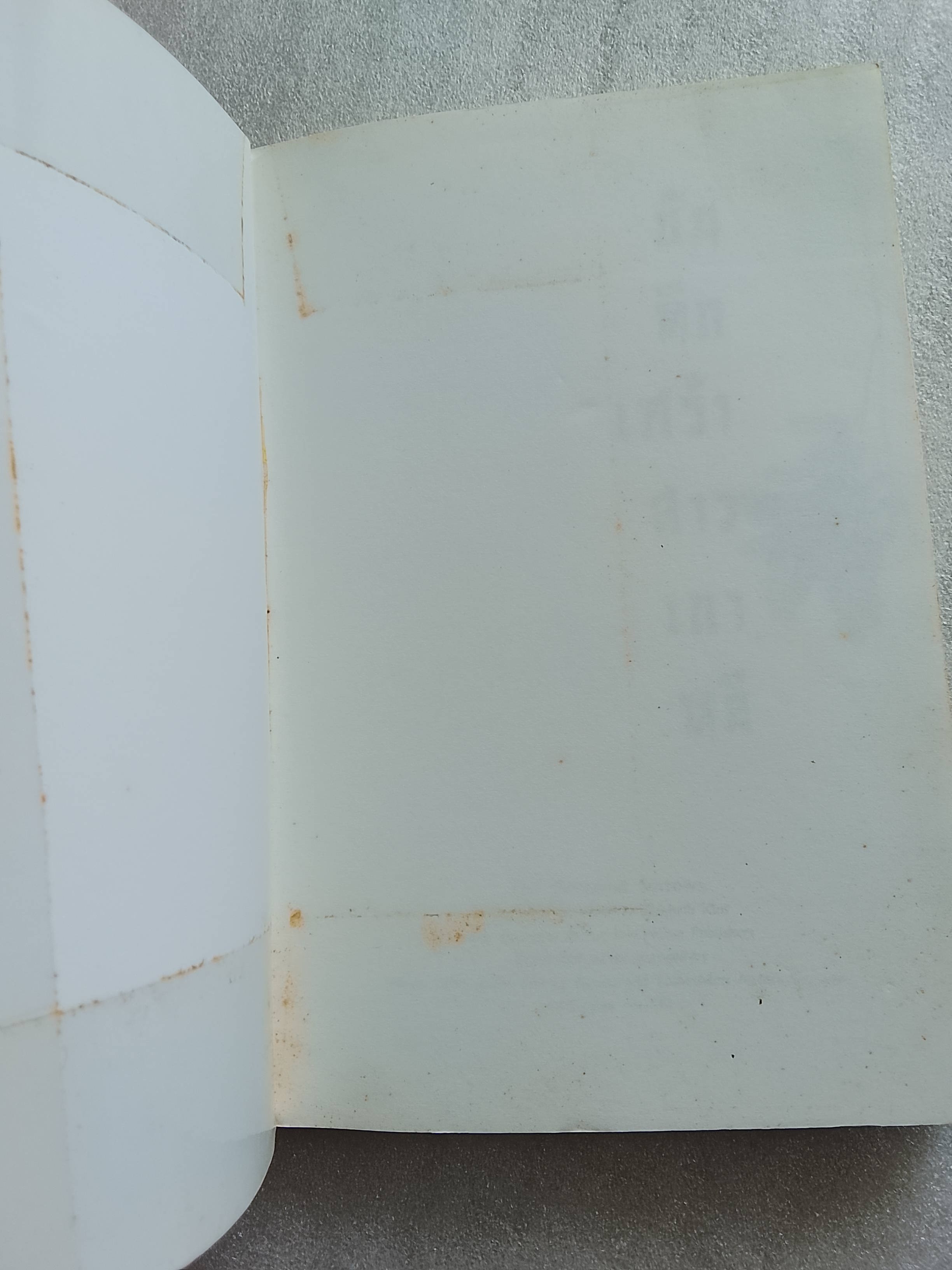 บันทึกเศร้าสาวเกาหลี / เอลิซาเบท คิม