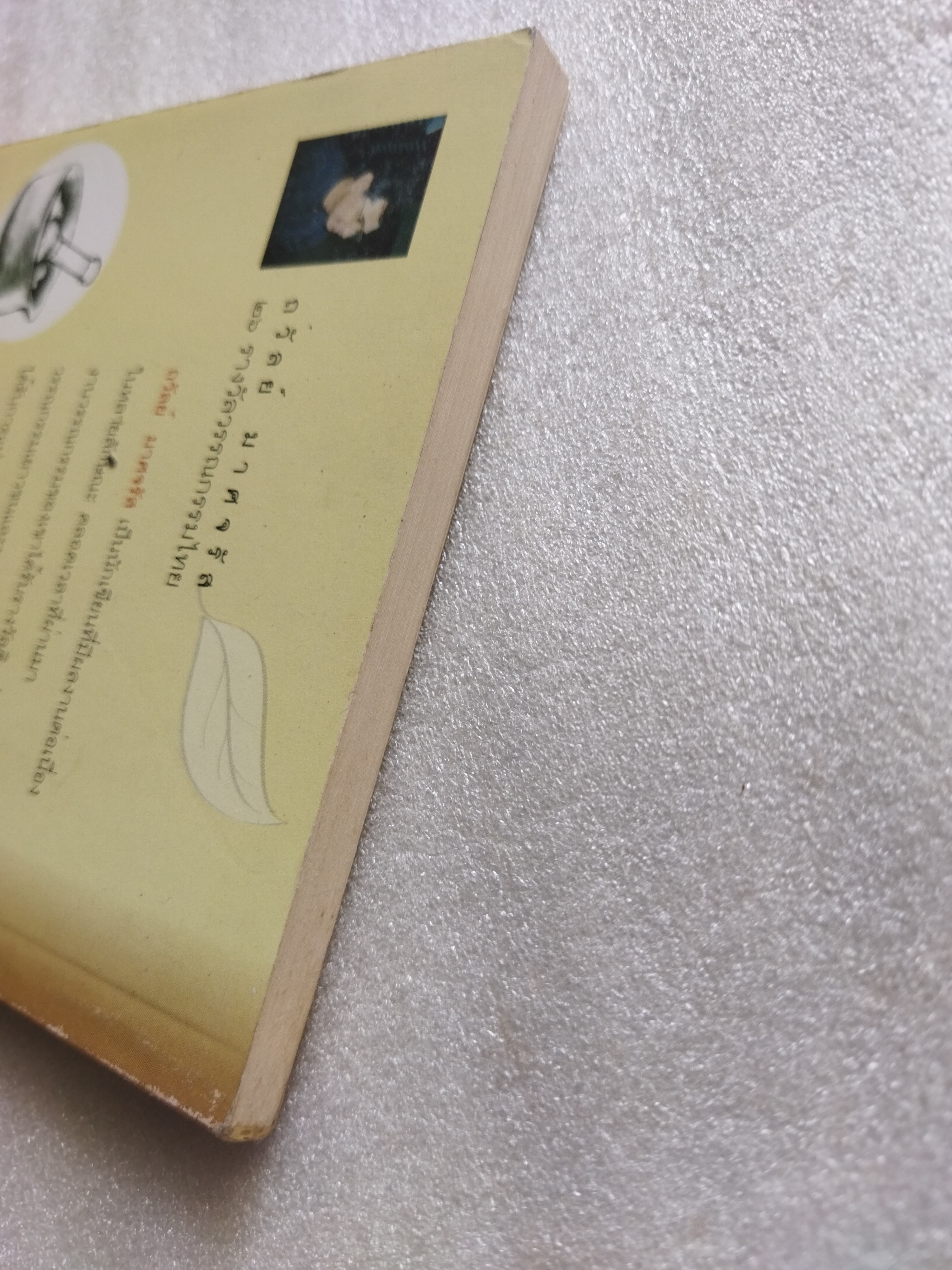 หมอใบไม้ / ถวัลย์ มาศจรัล