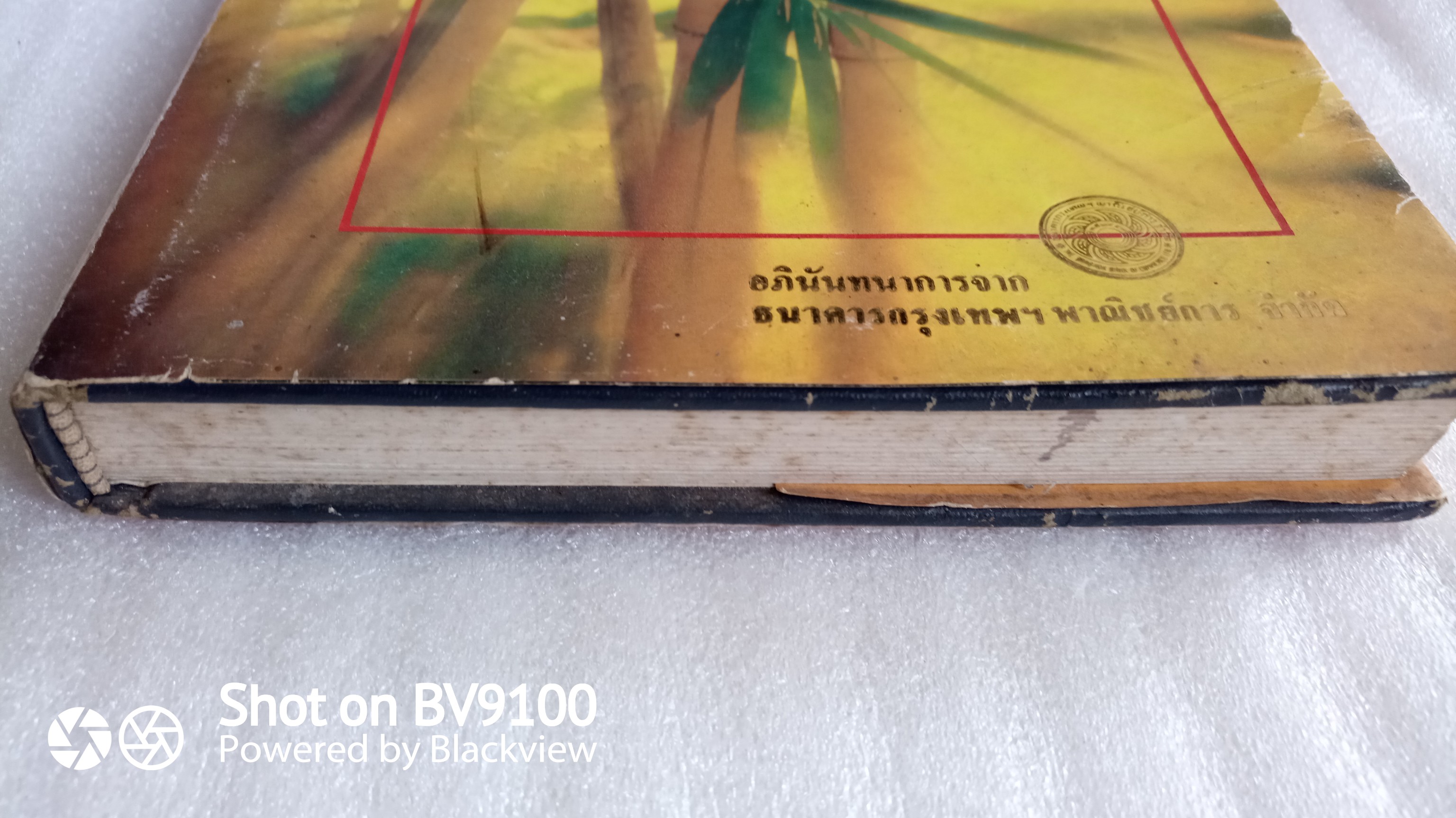 ไผ่แดง /ม.ร.ว. คึกฤทธิ์ ปราโมช