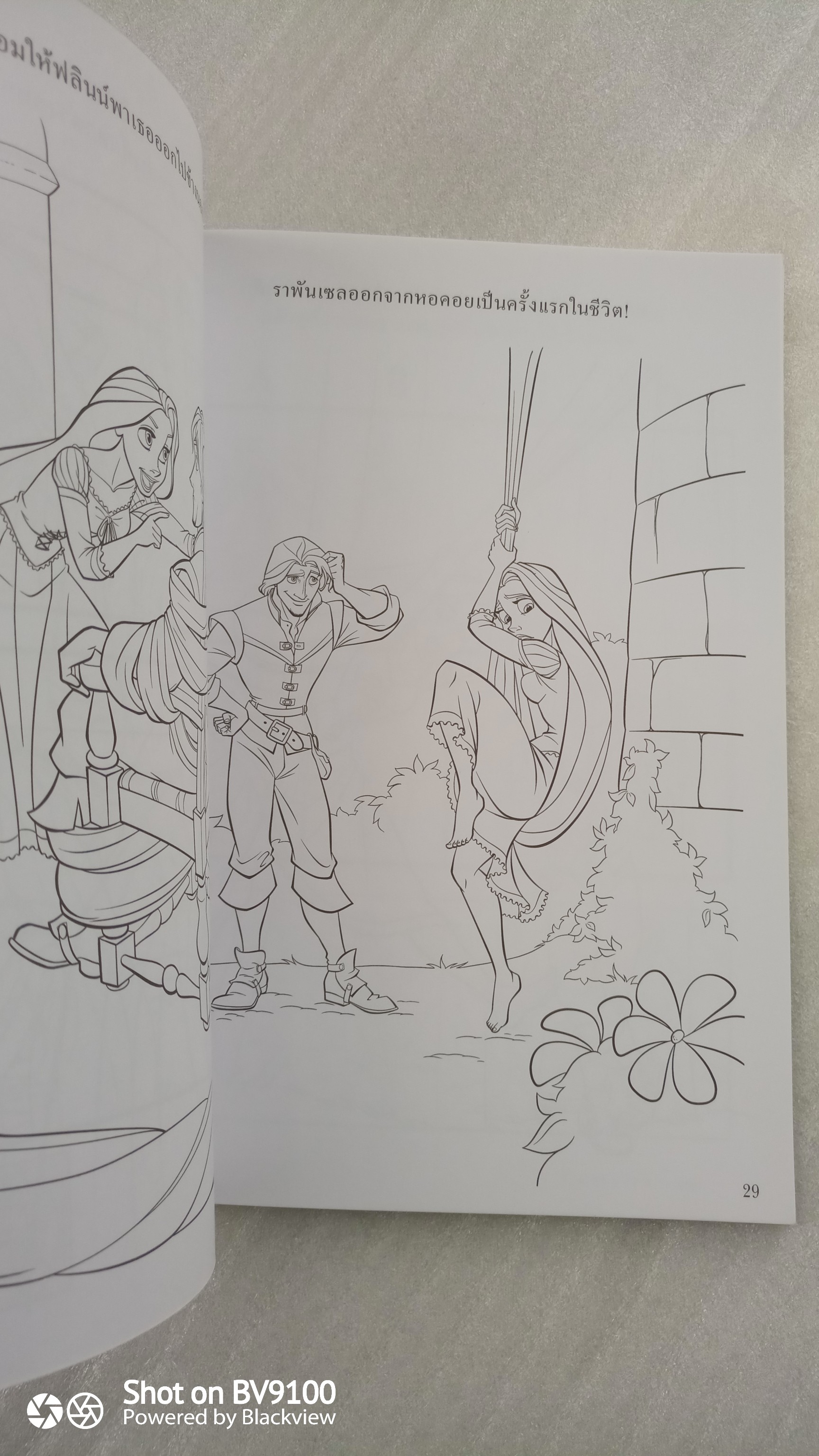 รวมเล่ม ราพันเซล