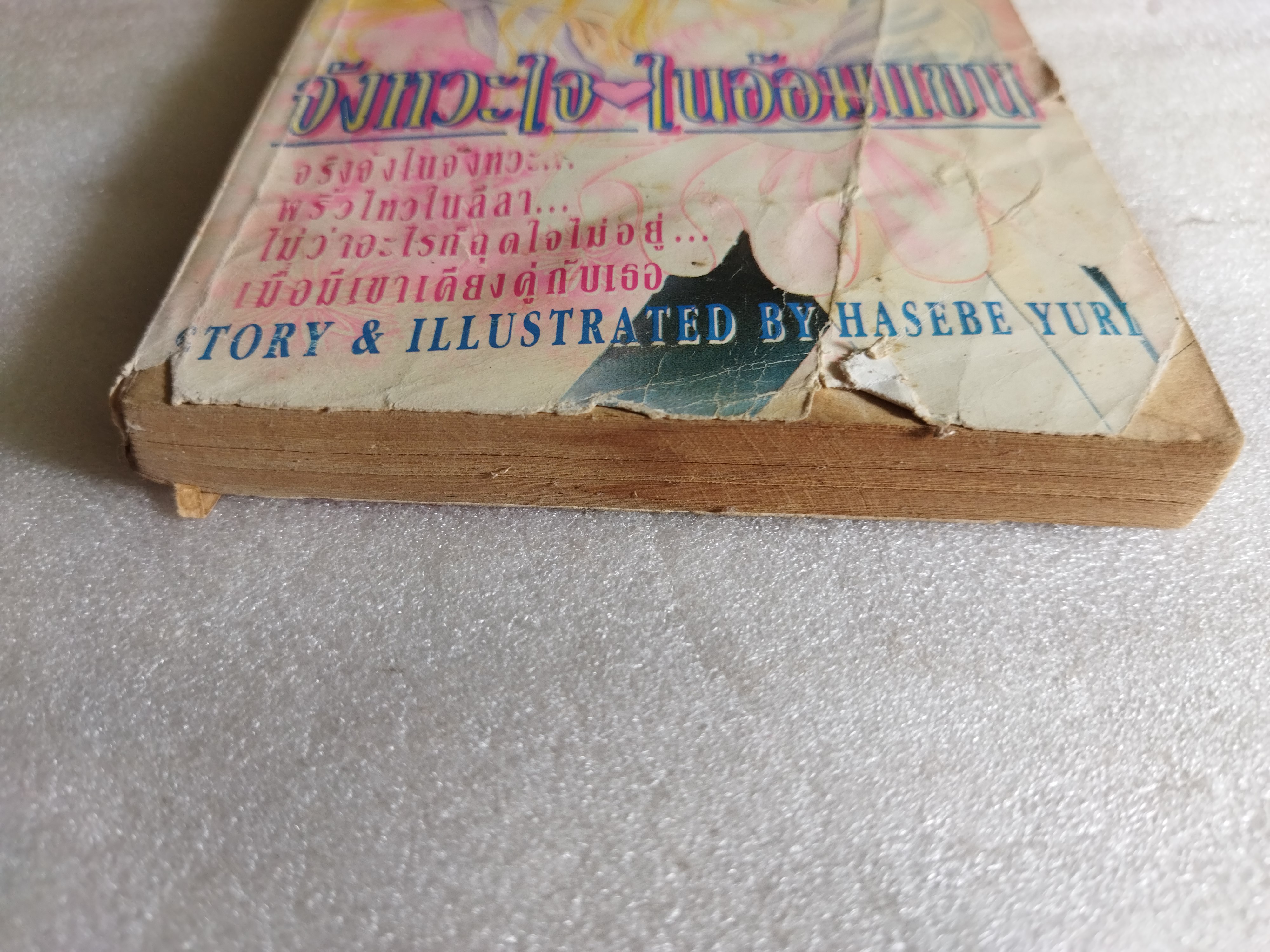 จังหวะใจในอ้อมแขน *ตำหนิ