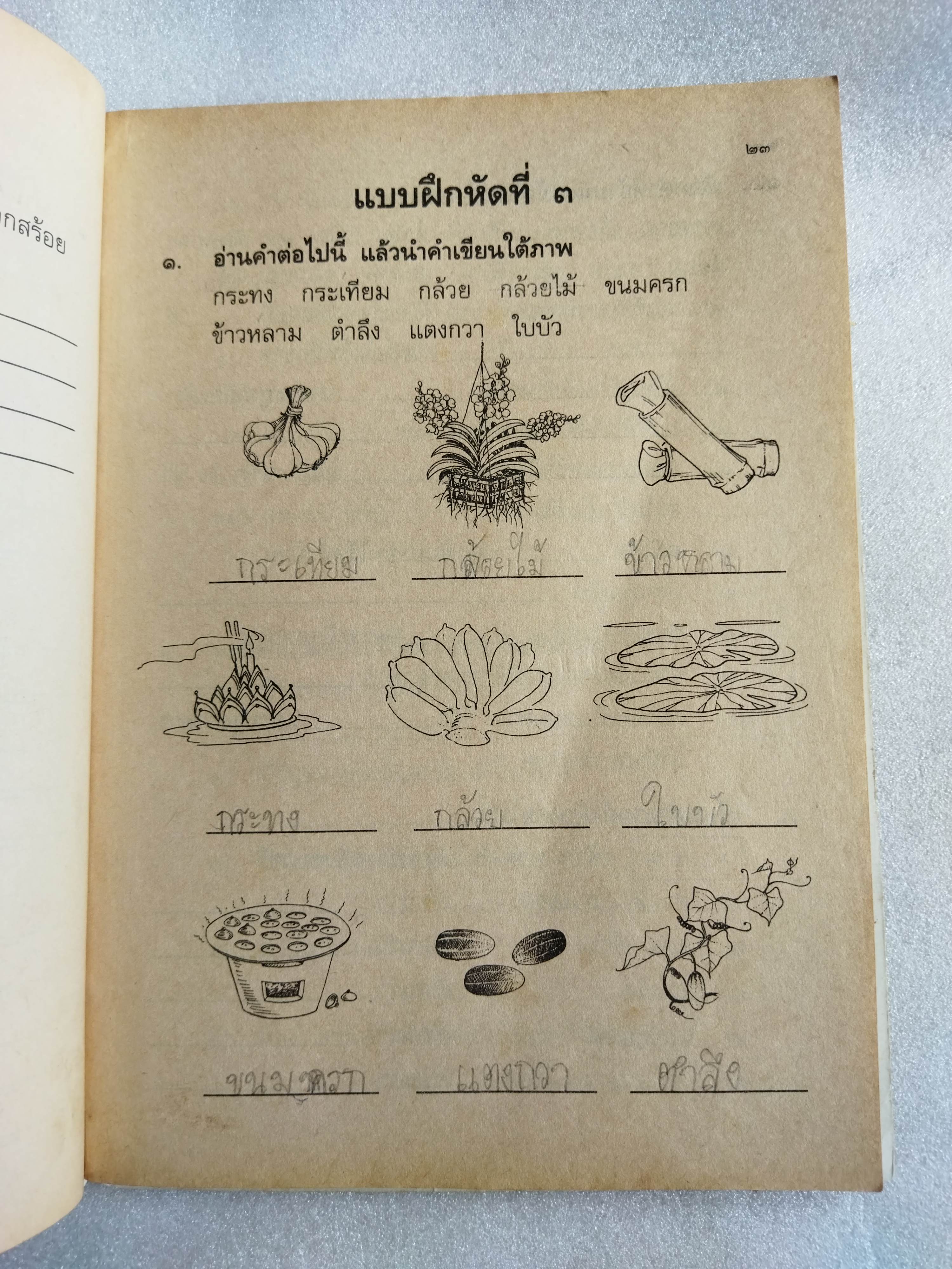 แบบฝึกหัดภาษาไทย ป.3 เล่ม 1