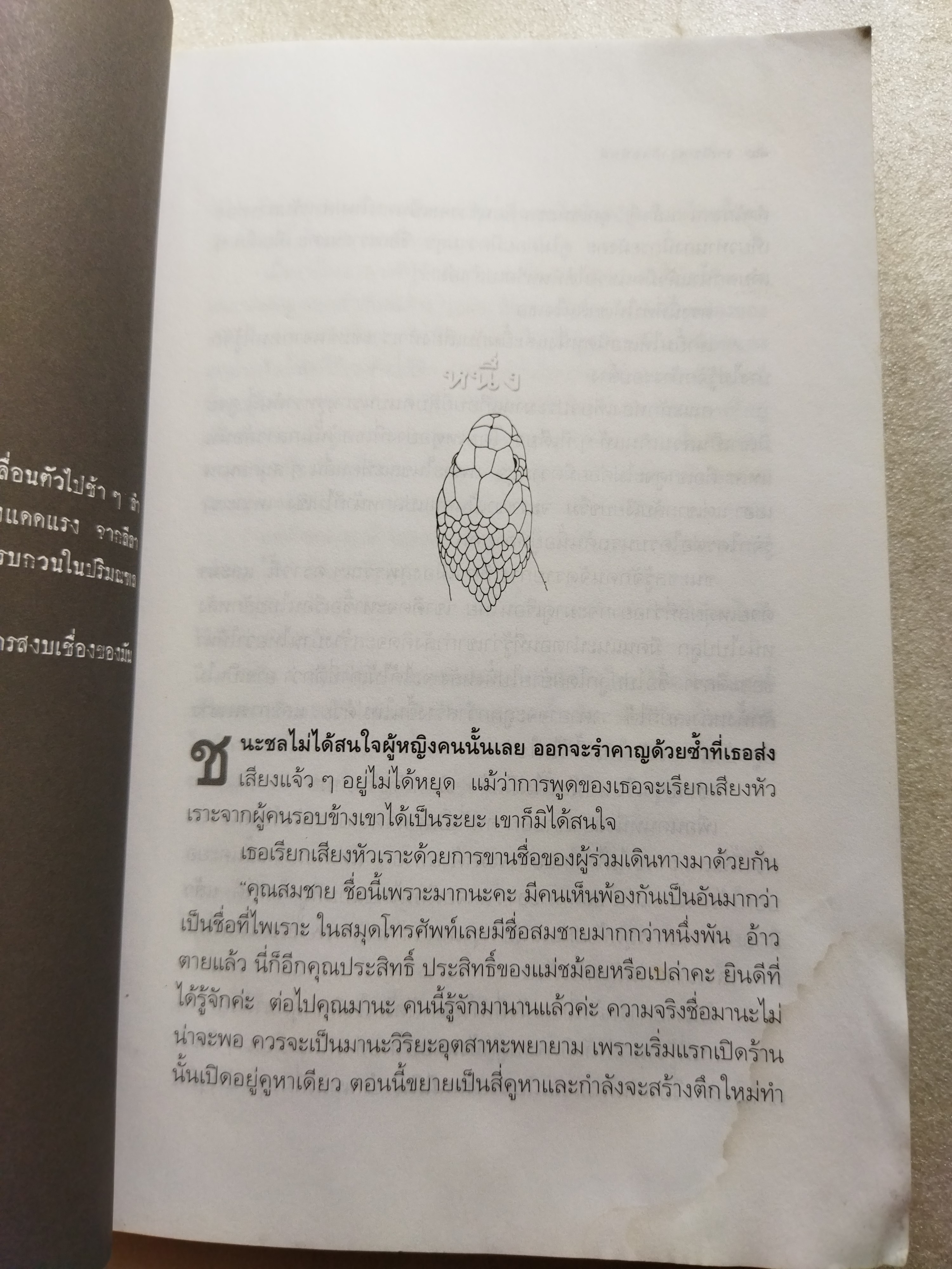 แม่เบี้ย /วาณิช จรุงกิจอนันต์