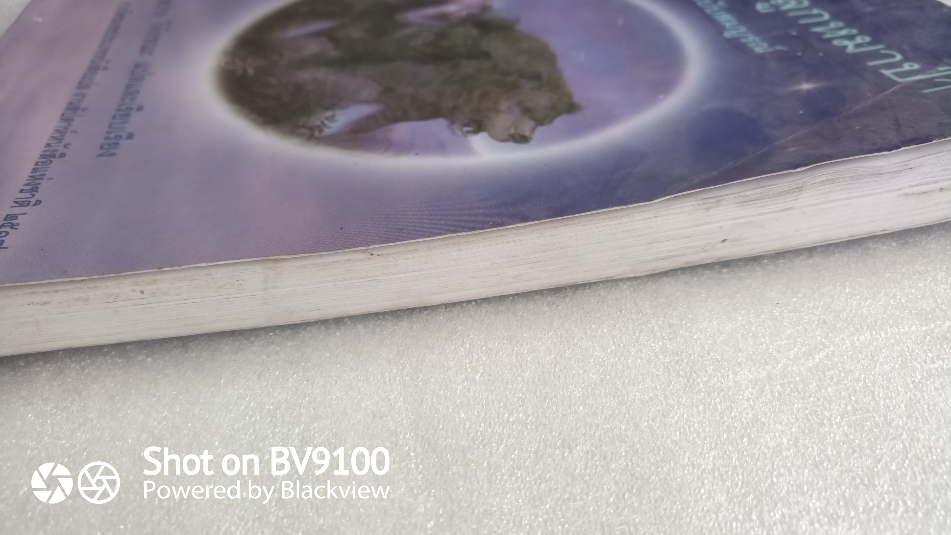 เมาคลี ลูกหมาป่า