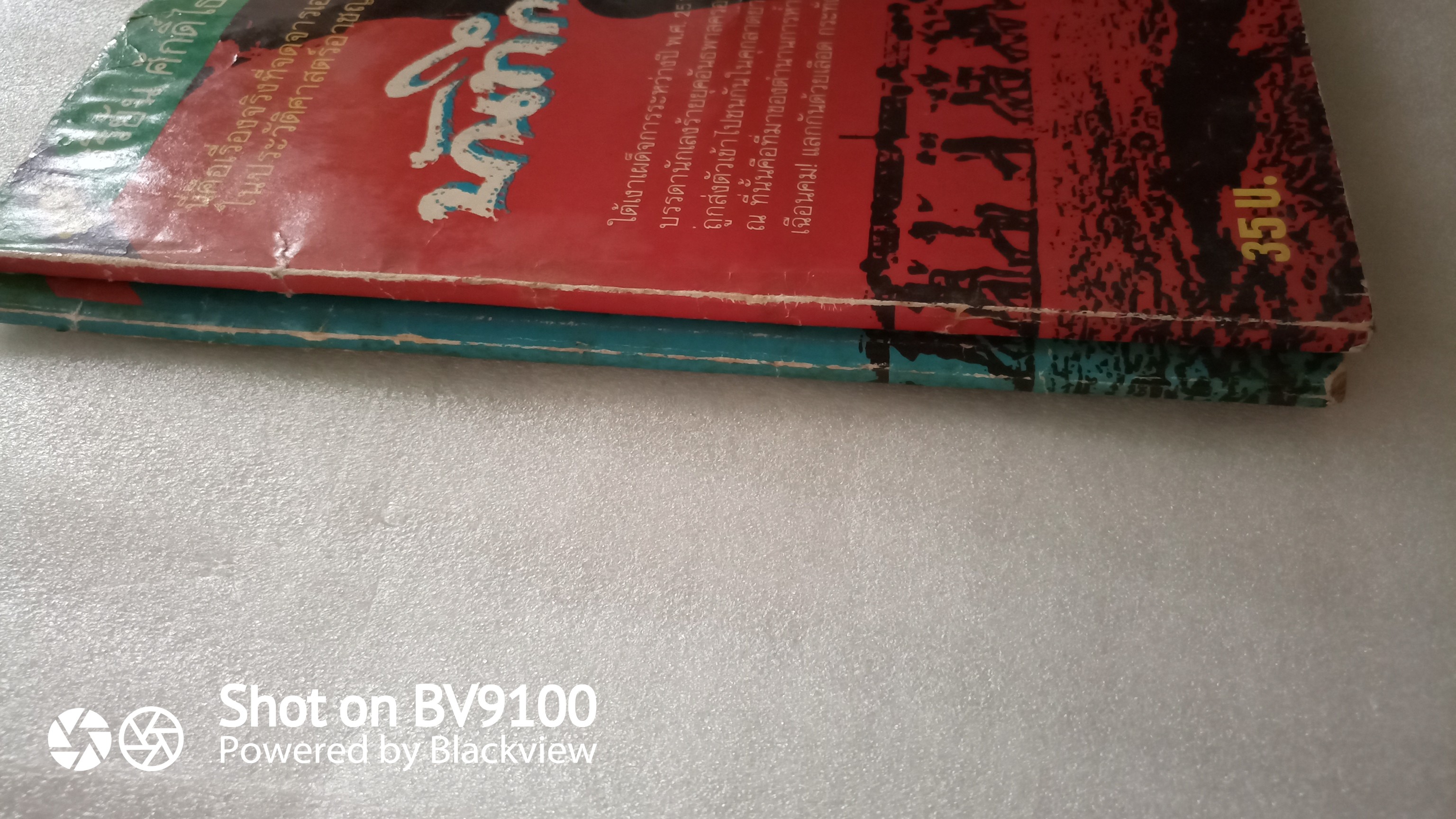 บันทึกเถื่อน / สุริยัน ศักดิ์ไธสง