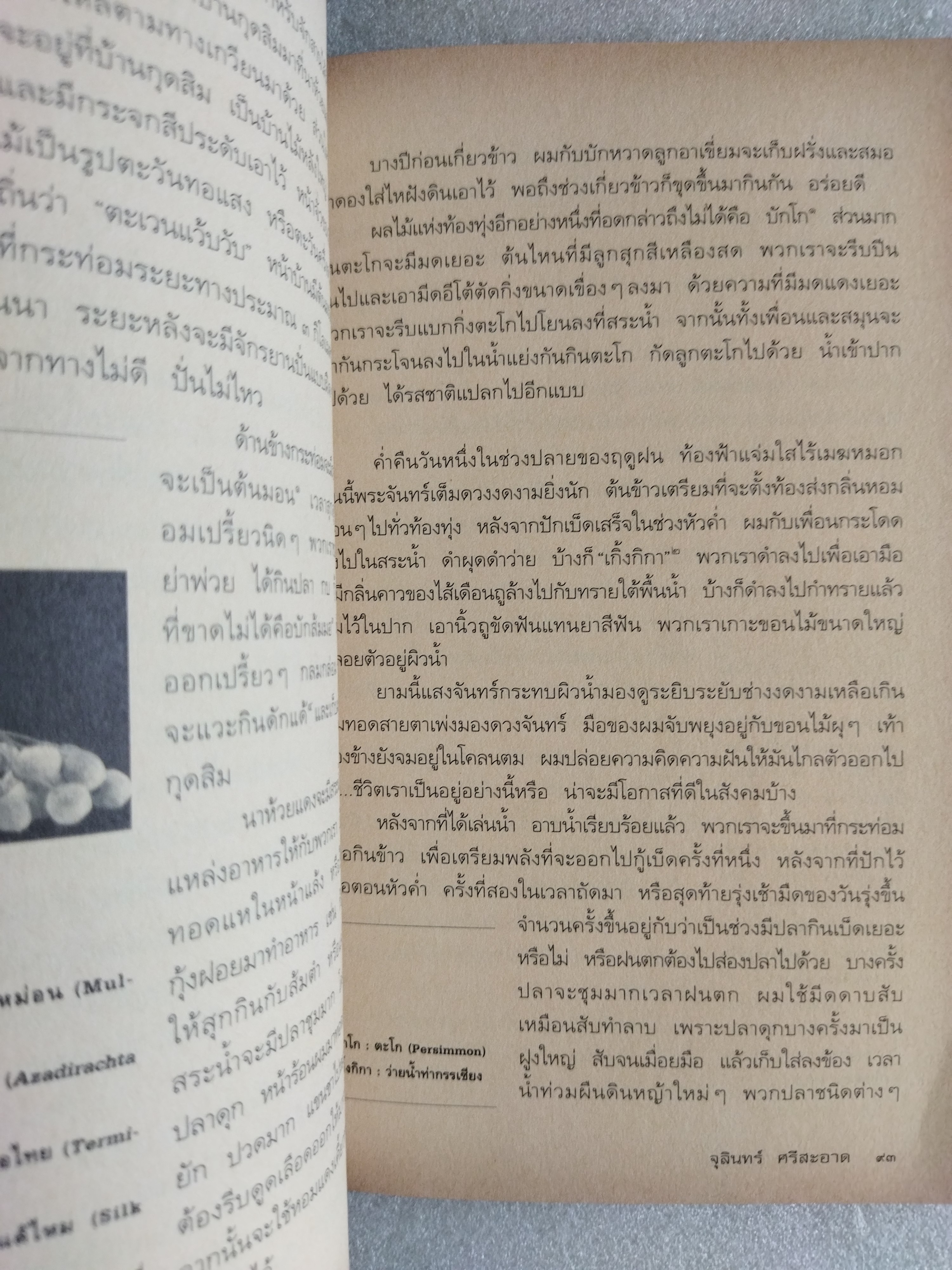 คูนดอกสุดท้าย / จุลินทร์ ศรีสะอาด