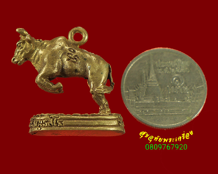 732.วัวธนู หลวงพ่อเขียน วัดกระทิง จ.จันทบุรี ปี2549 เข้มขลัง สวยสมบูรณ์เดิมครับ***2