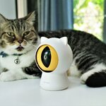 PETONEER Smart Dot ของเล่นคูลๆ สำหรับน้องแมวหรือสำหรับเจ้าของแมวกันแน่ 555