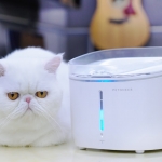 แกะกล่องและทดลองใช้สุดยอดน้ำพุกรองน้ำแห่งยุคดิจิตอล PETONEER FRESCO PRO WiFi