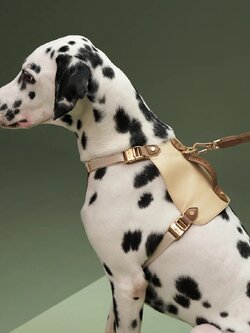 อานพร้อมสายจูง VOOCOO Saddle Pet Harness Set