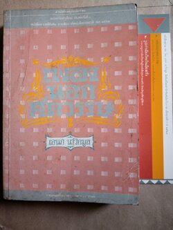 เพลงนอกศตวรรษ อเนก นาวิกมูล