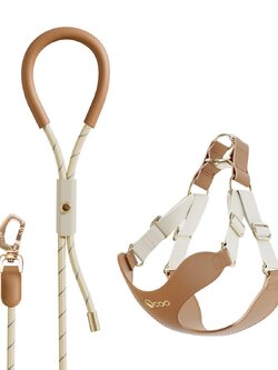 ที่รัดอกพร้อมสายจูง VOOCOO #OOTD Leash & Harness Set - Leather