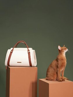 กระเป๋าถือสัตว์เลี้ยง VOOCOO Fynn Pet Travel Bag - Hand Carry