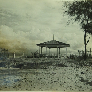 หมวดหมู่ตัวอย่าง