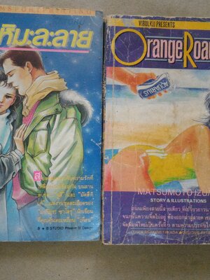 ถนนสายนี้เปรี้ยว,เมื่อหิมะละลาย