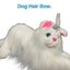 Dog Hair Bow.