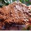 Ovomaltine crunchy cream (แยมโอวันติน) สุดอร่อย